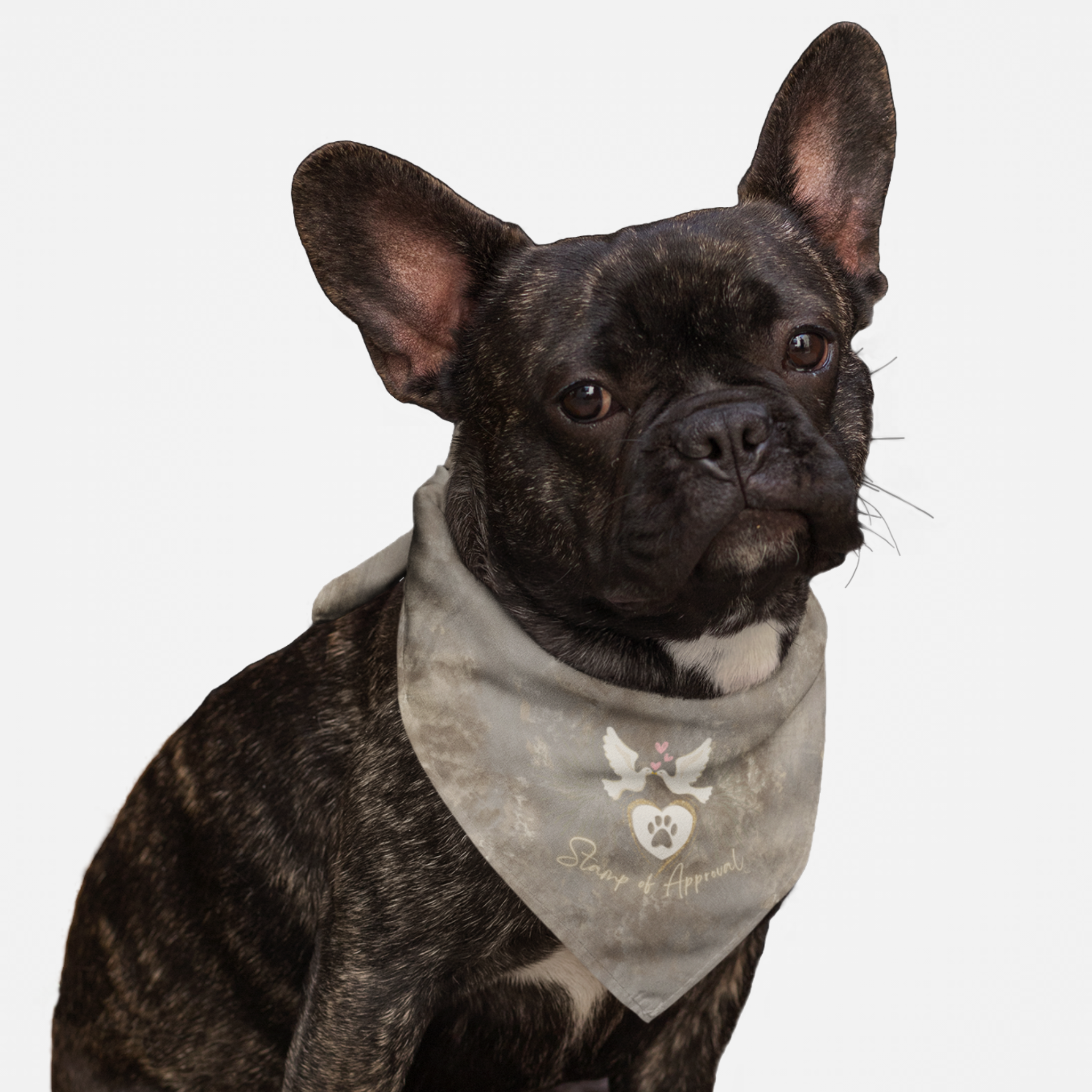 Dog wearing cute wedding bandana featuring wedding doves graphic and "Stamp of Approval" quote.