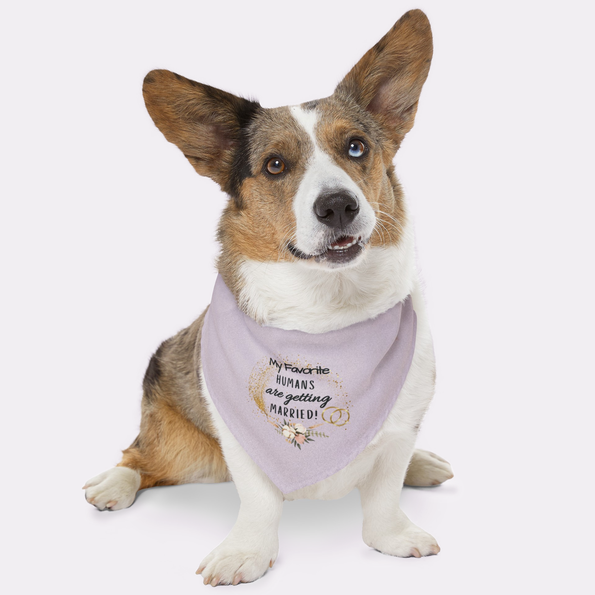 Dog wearing cute wedding bandana with flower bouquet graphic saying My Favorite Humans Are Getting Married.