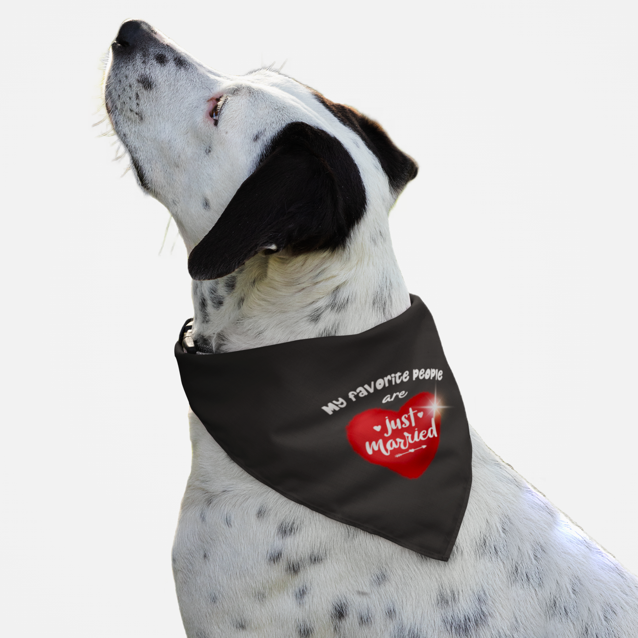Dog wearing cute wedding bandana with red heart graphic saying My Favorite People Are Just Married.