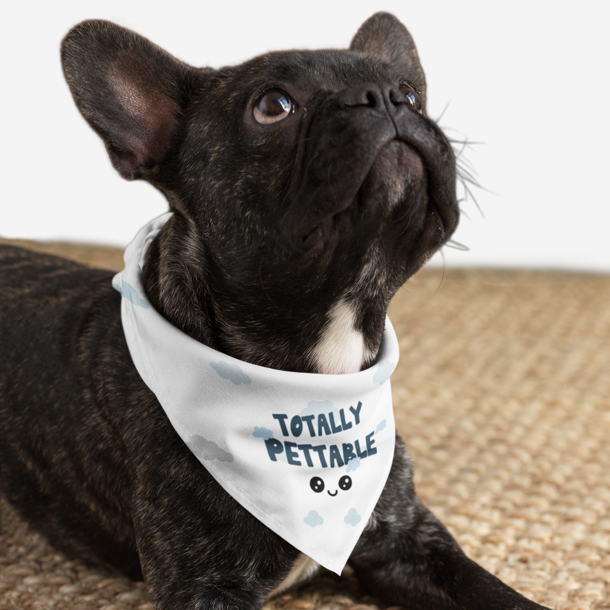 Dog wearing cute white bandana with clouds pattern saying Totally Pettable.