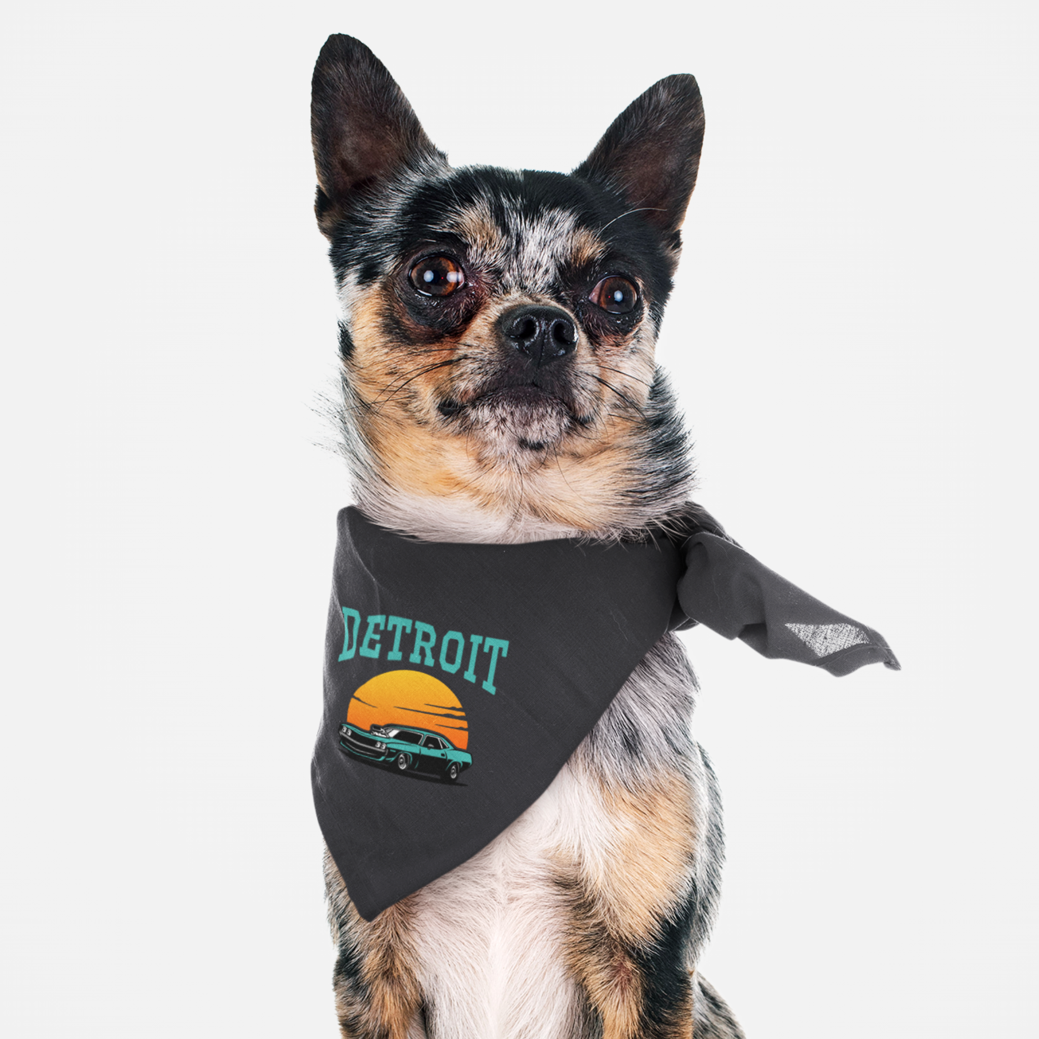 Dog wearing Detroit motor city tribute bandana featuring retro American muscle car graphic.