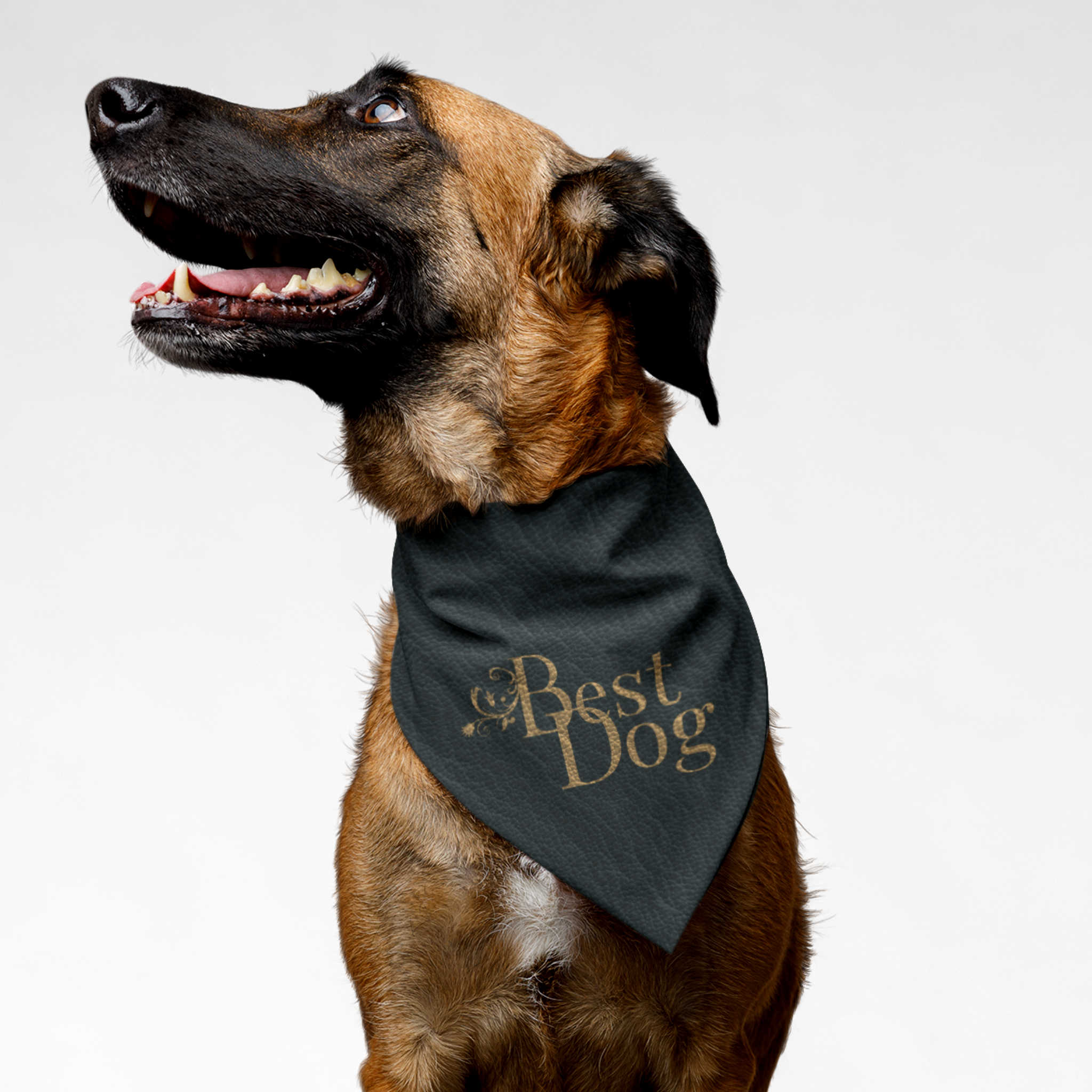 Dog wearing elegant bandana with leather style print saying Best Dog.