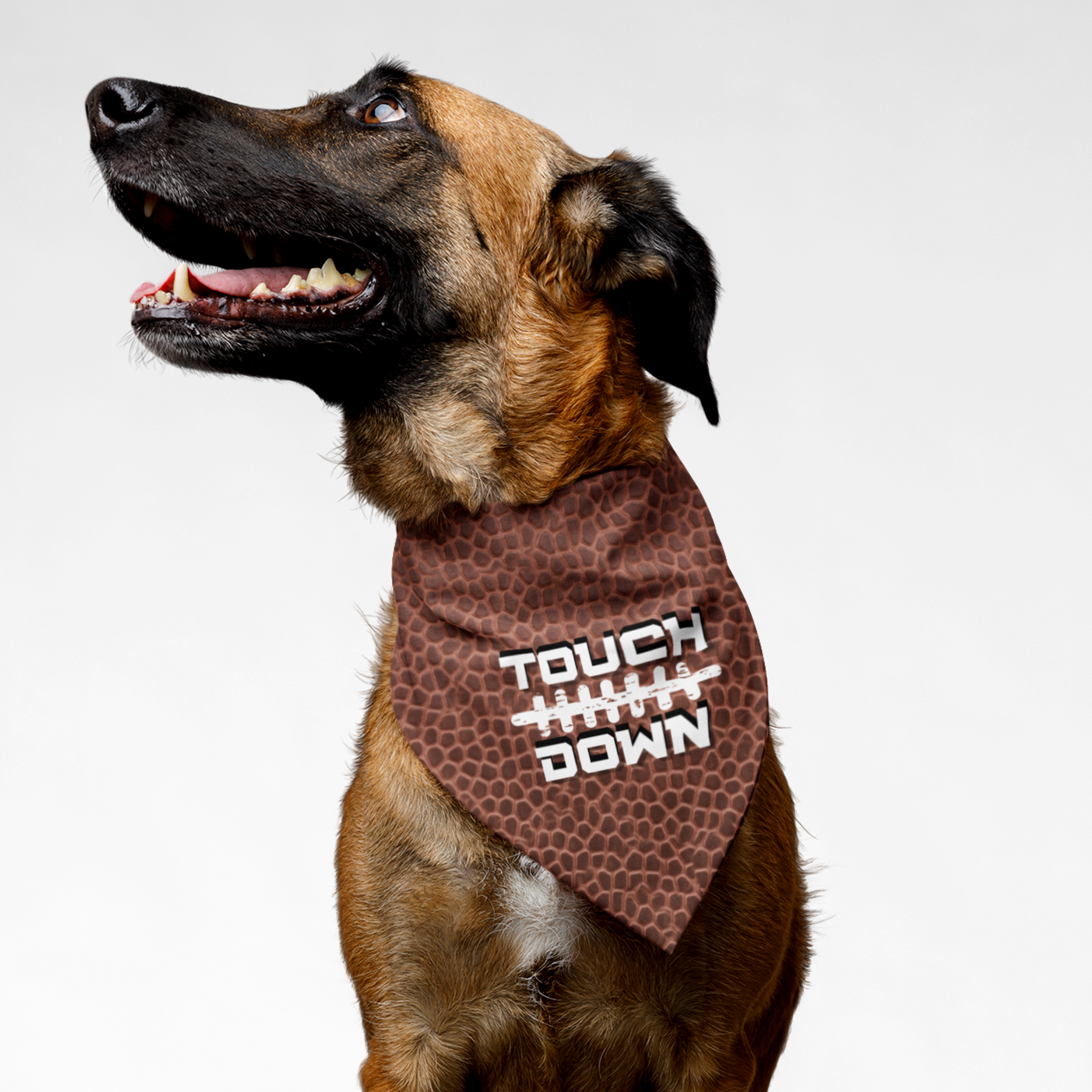 Dog wearing football bandana saying Touchdown.
