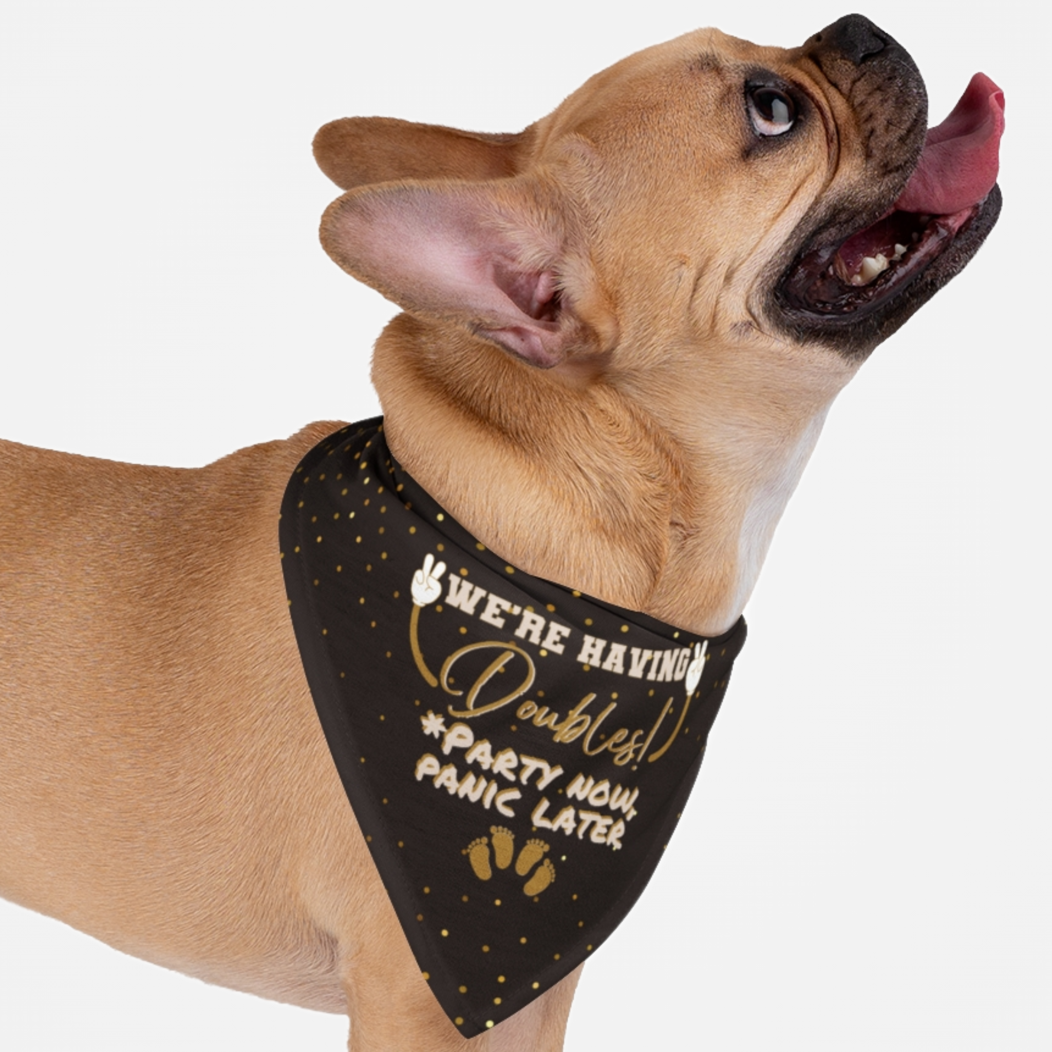 Dog wearing cute and funny bandana for twins pregnancy announcement saying "We're Having Doubles. Party Now. Panic Later."