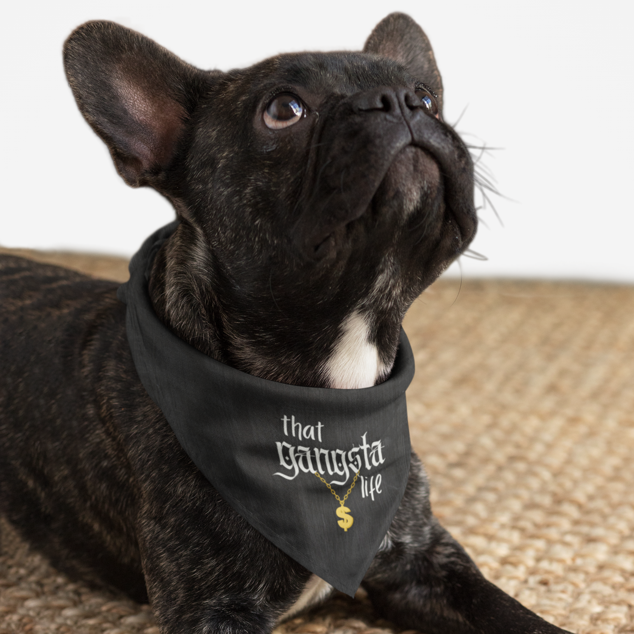 Dog wearing funny bandana saying That Gangsta Life.