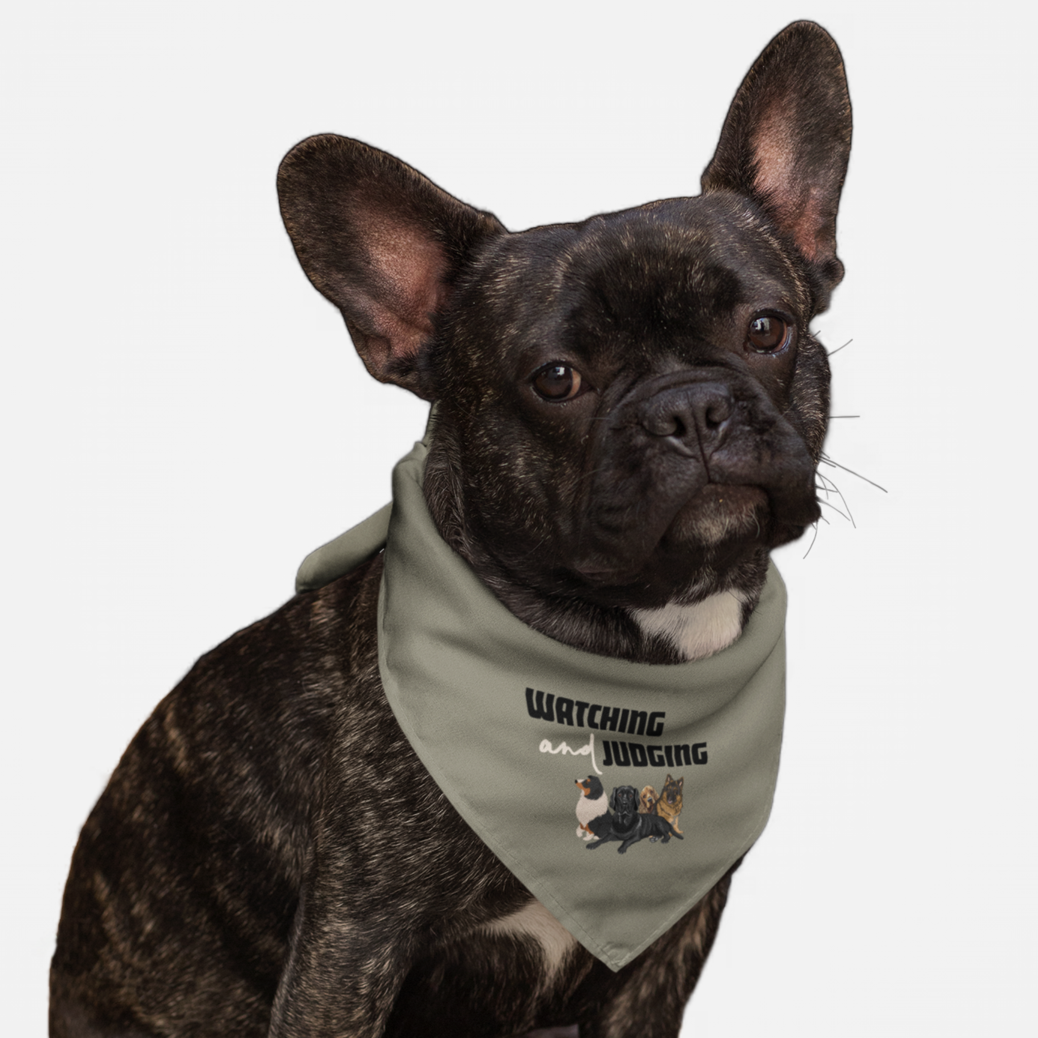 Dog with funny bandana saying Watching and Judging.