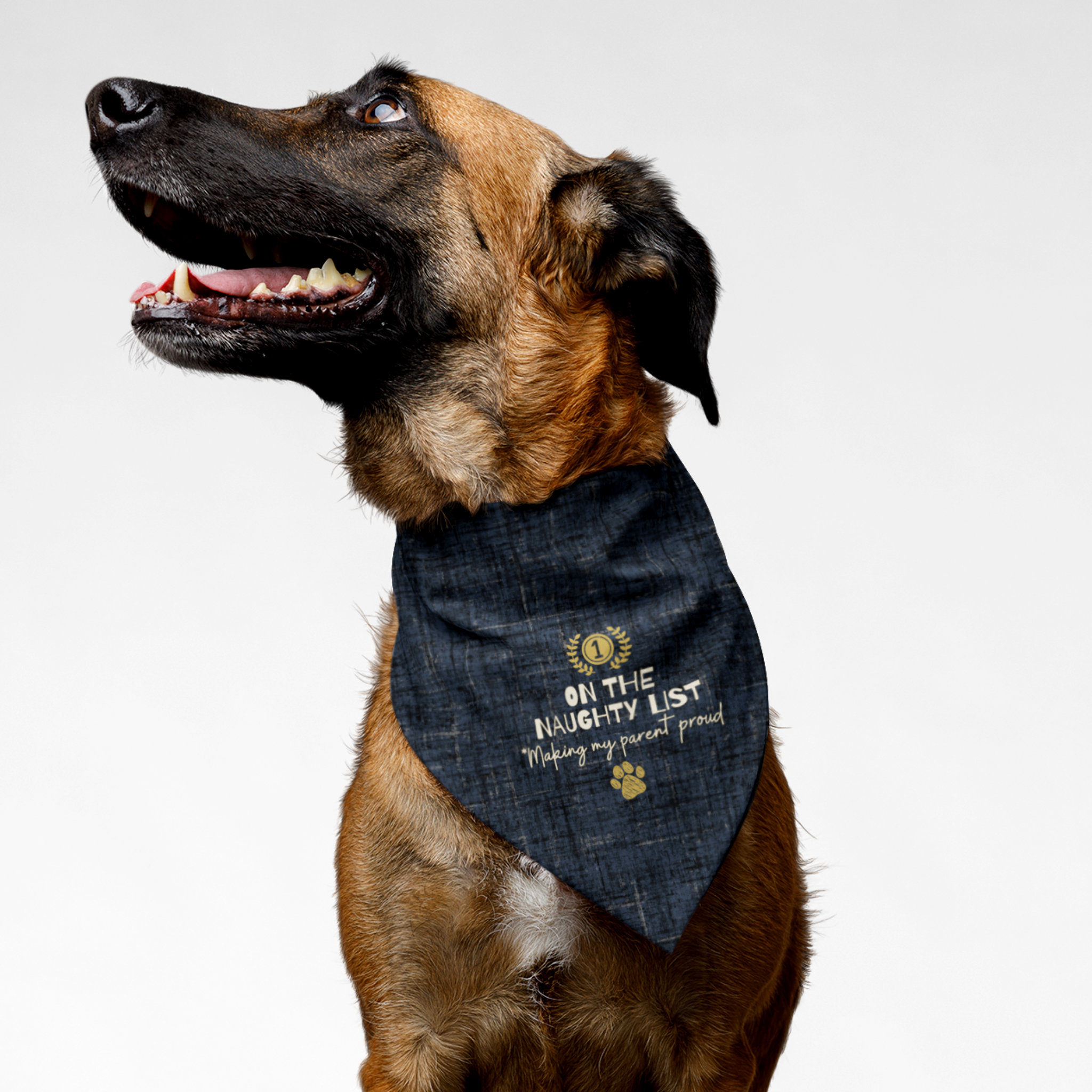Dog wearing funny bandana with blue linen style print saying "Number 1 on the Naughty List. Making My Parent Proud."