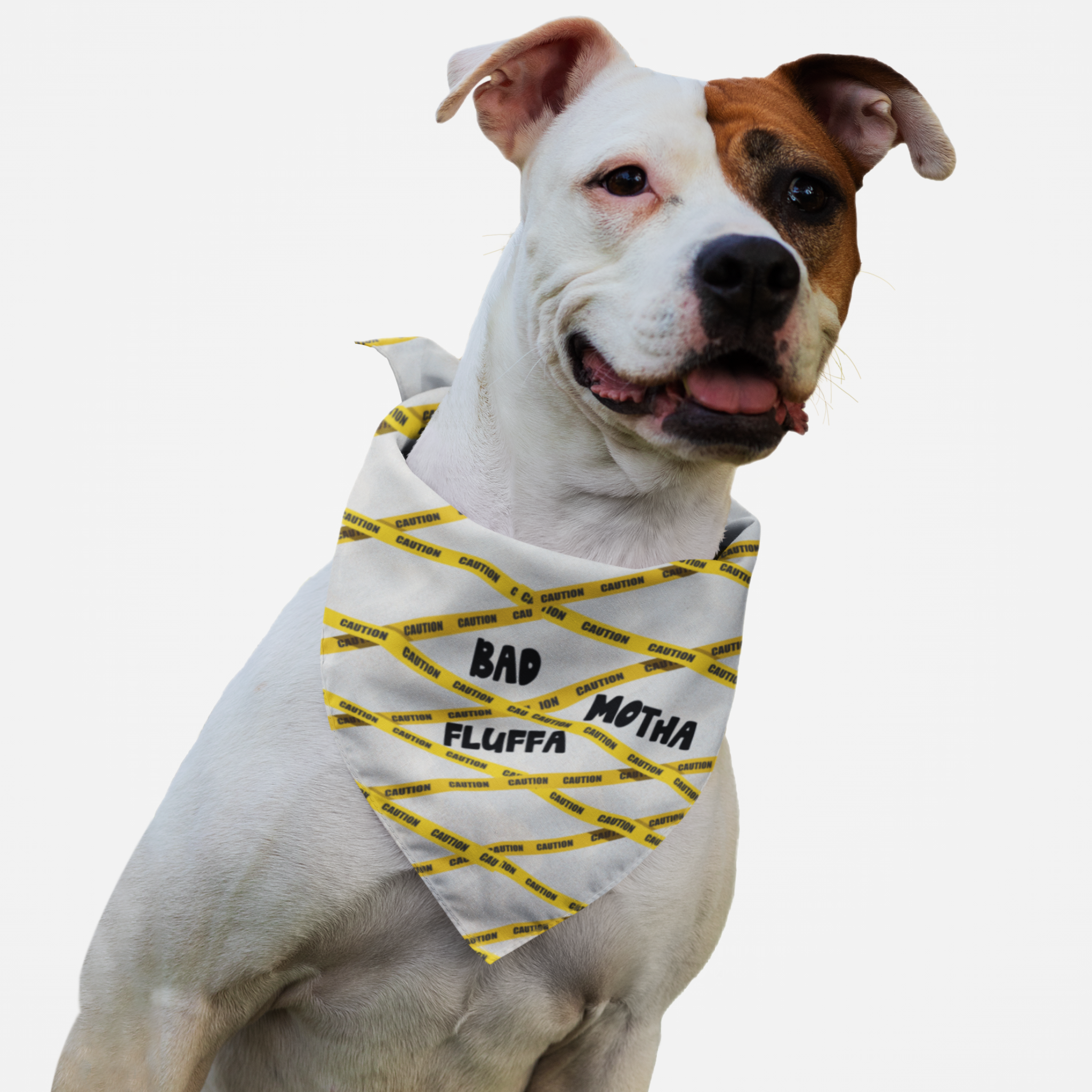 Dog wearing funny bandana with caution tapes graphics and Bad Motha Fluffa quote on it.