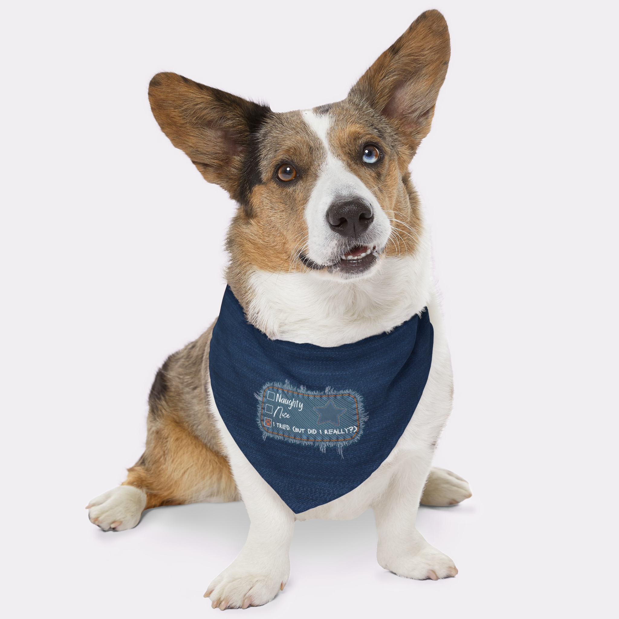Dog wearing funny bandana with denim style print saying "I Tried. But Did I Really?"
