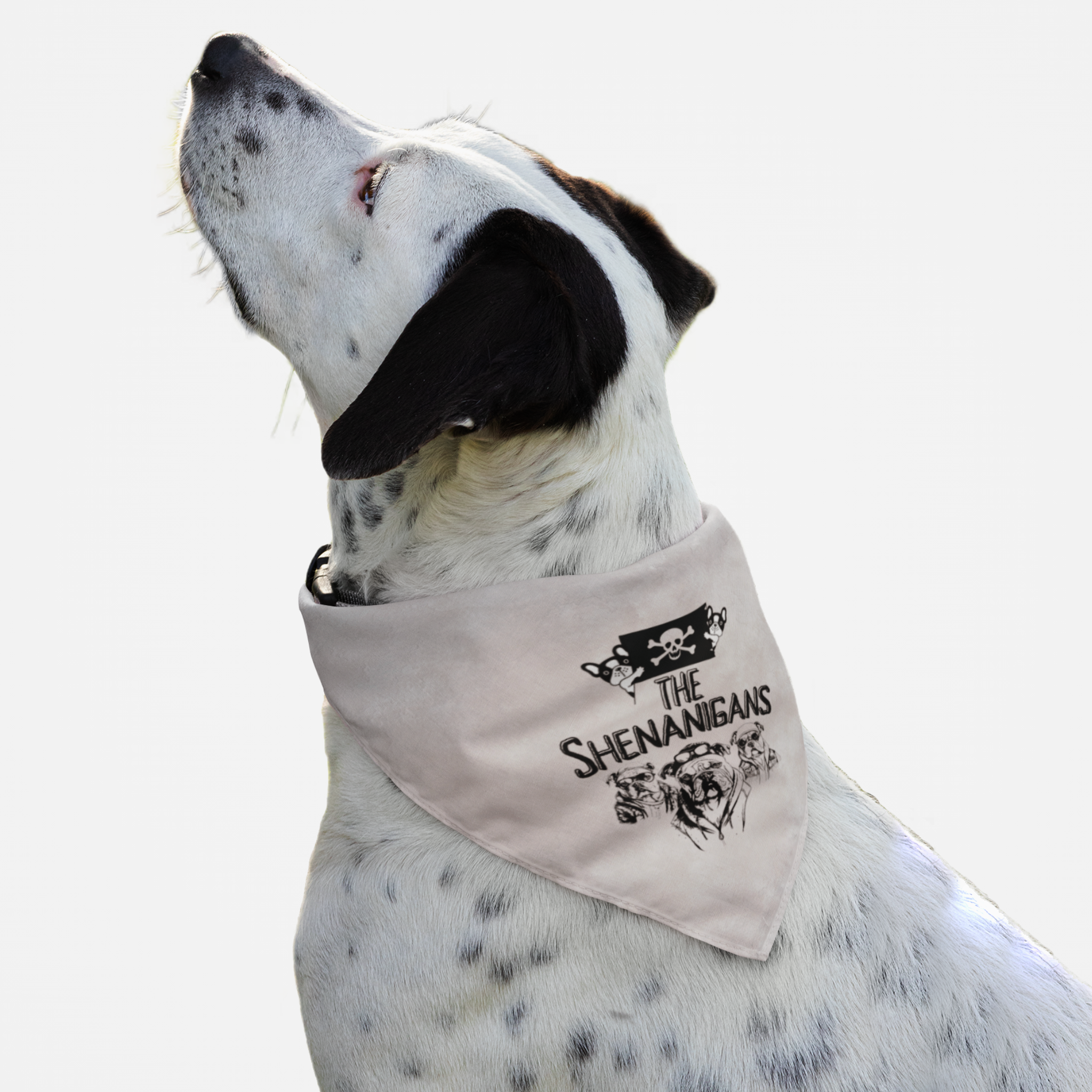 Dog wearing funny bandana with distressed grunge effect saying The Shenanigans.