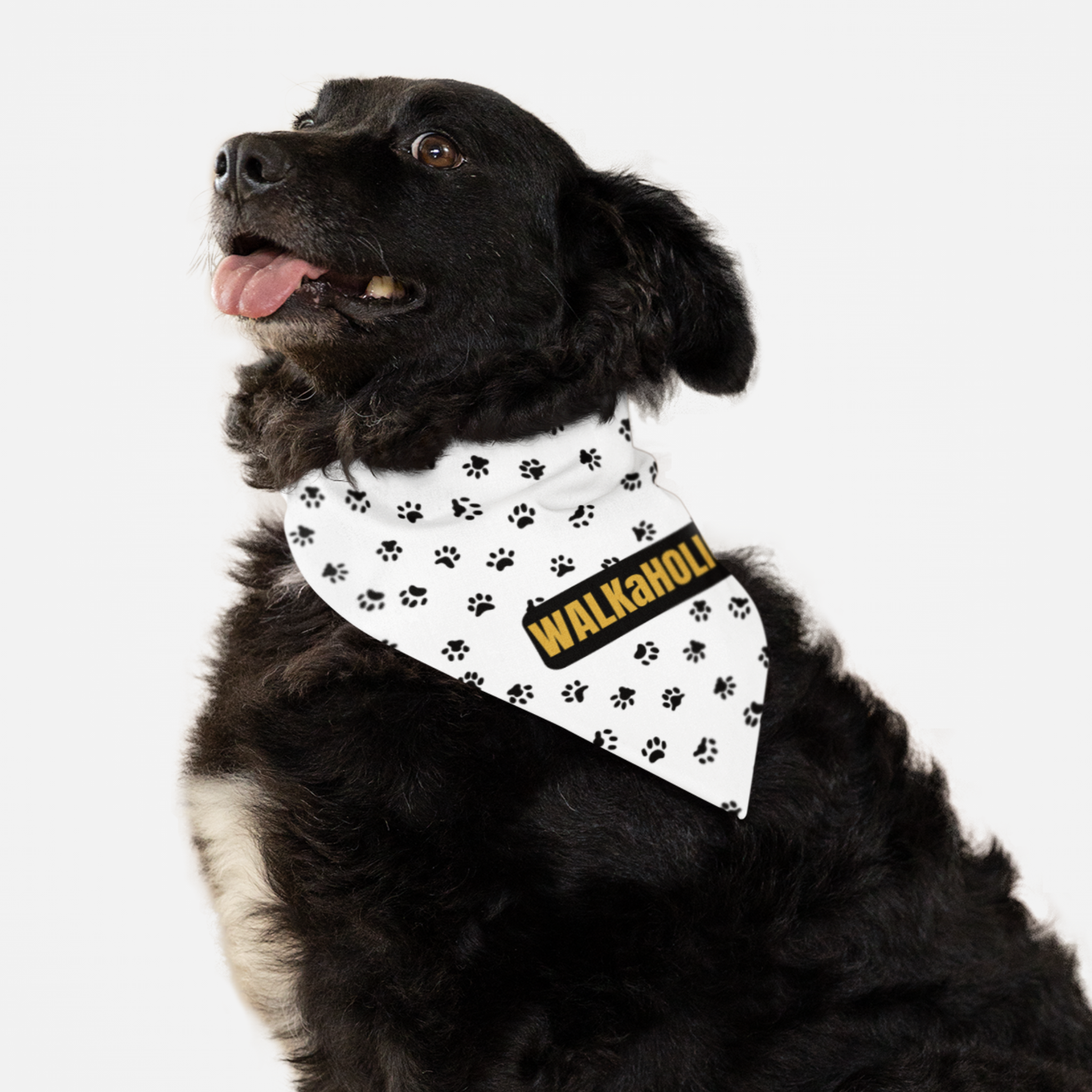 Dog wearing funny bandana with paws pattern saying Walkaholic.