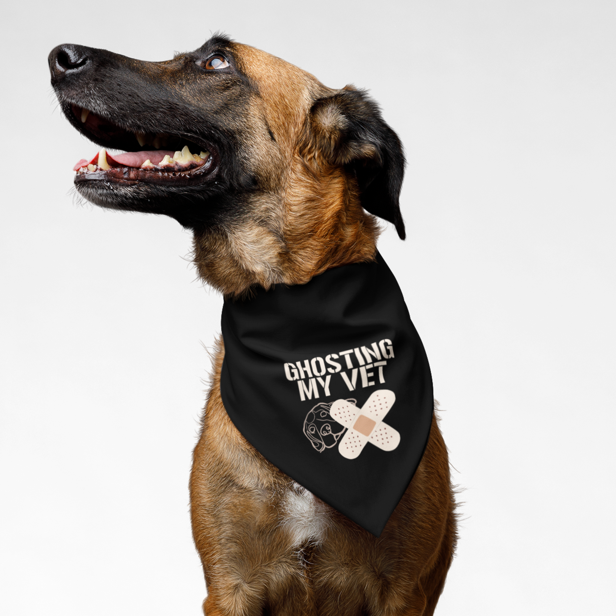Dog wearing funny graphic bandana saying Ghosting My Vet.