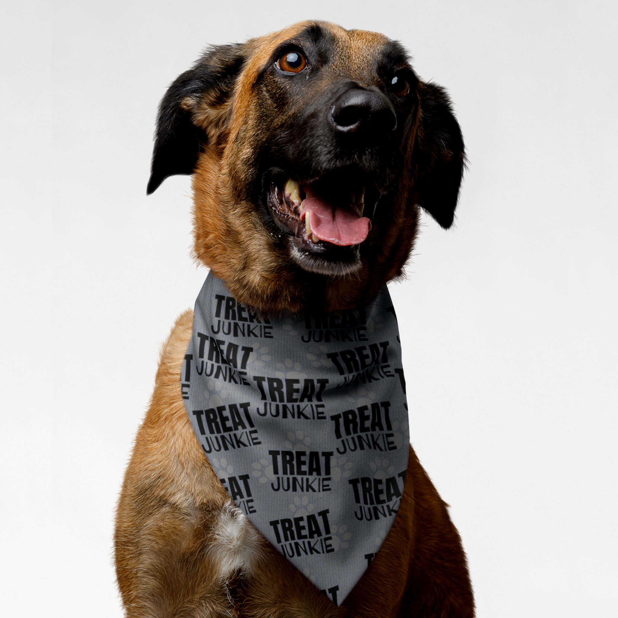 Dog wearing funny pattern bandana saying Treat Junkie.