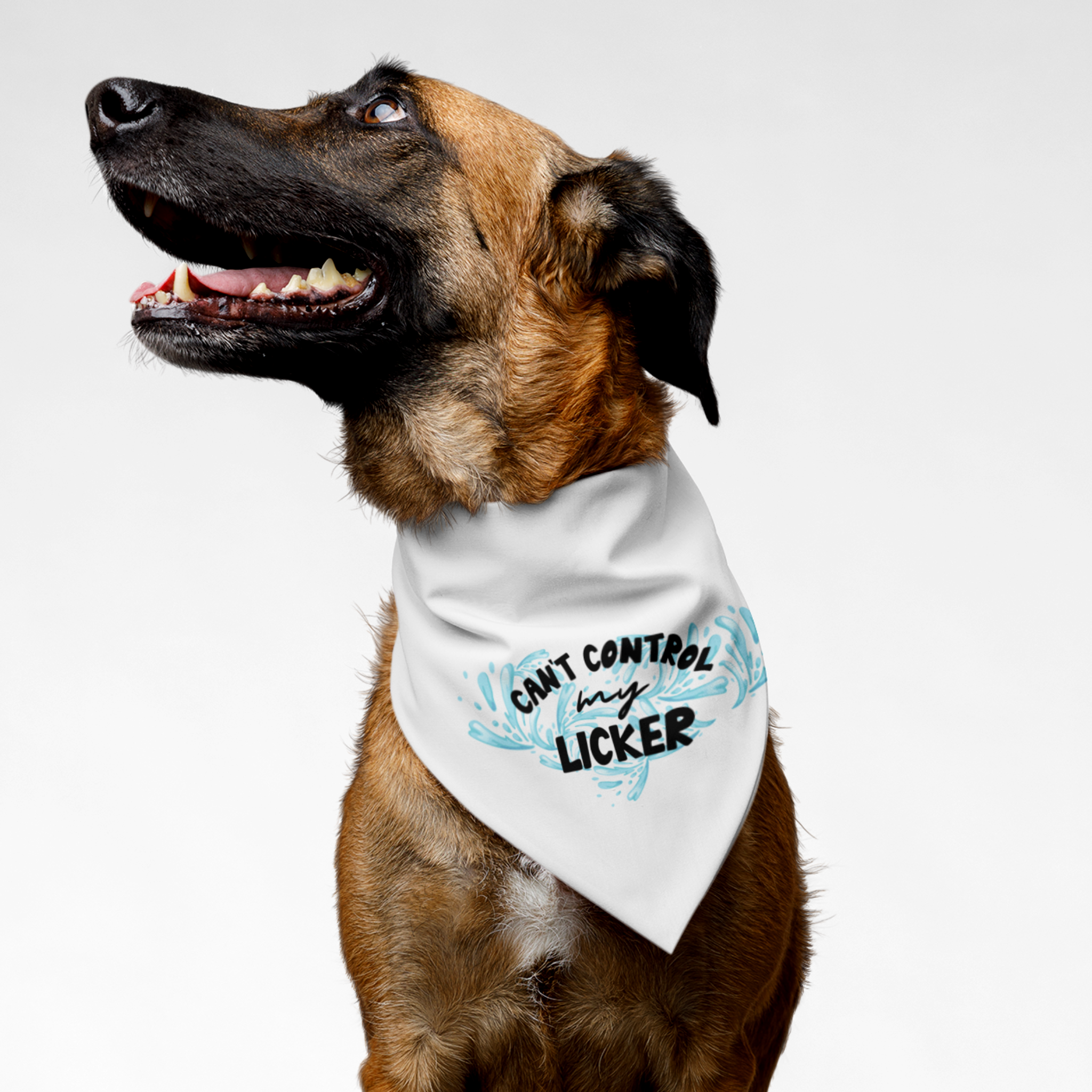 Dog wearing funny white bandana saying Can't Control My Licker.