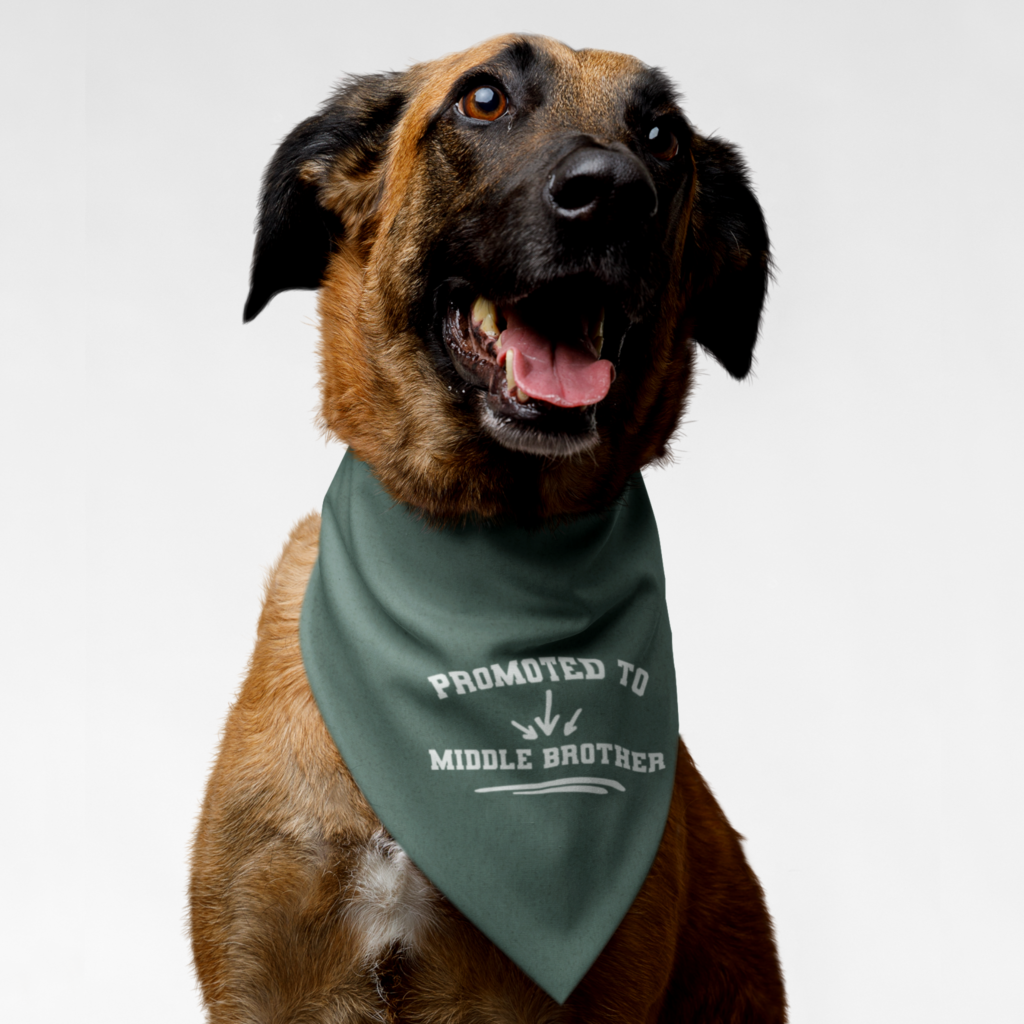 Dog wearing green bandana announcing pregnancy with "Promoted to Middle Brother" quote in a tactics coaching board style.