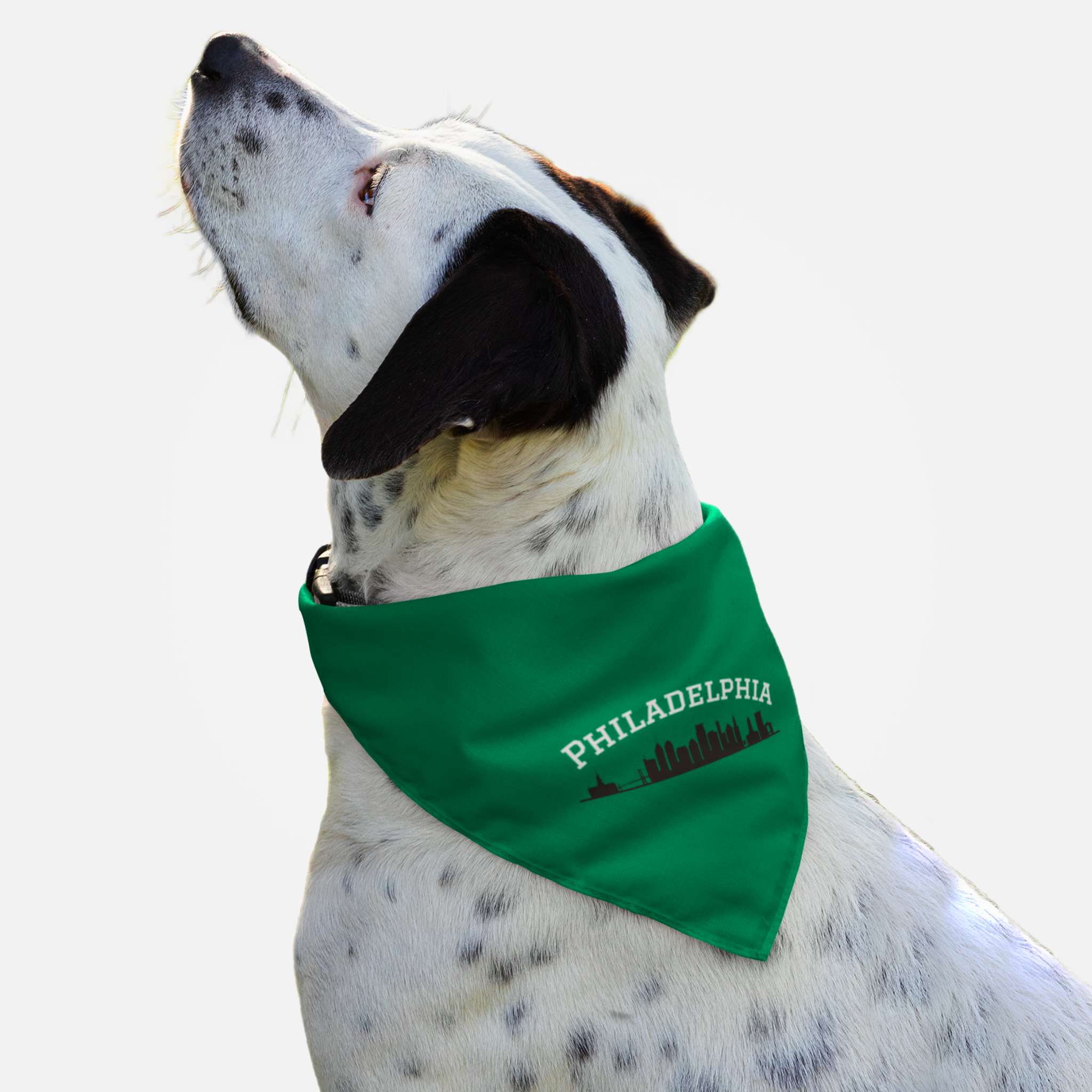 Dog wearing green bandana saying "Philadelphia" with a skyline graphic.
