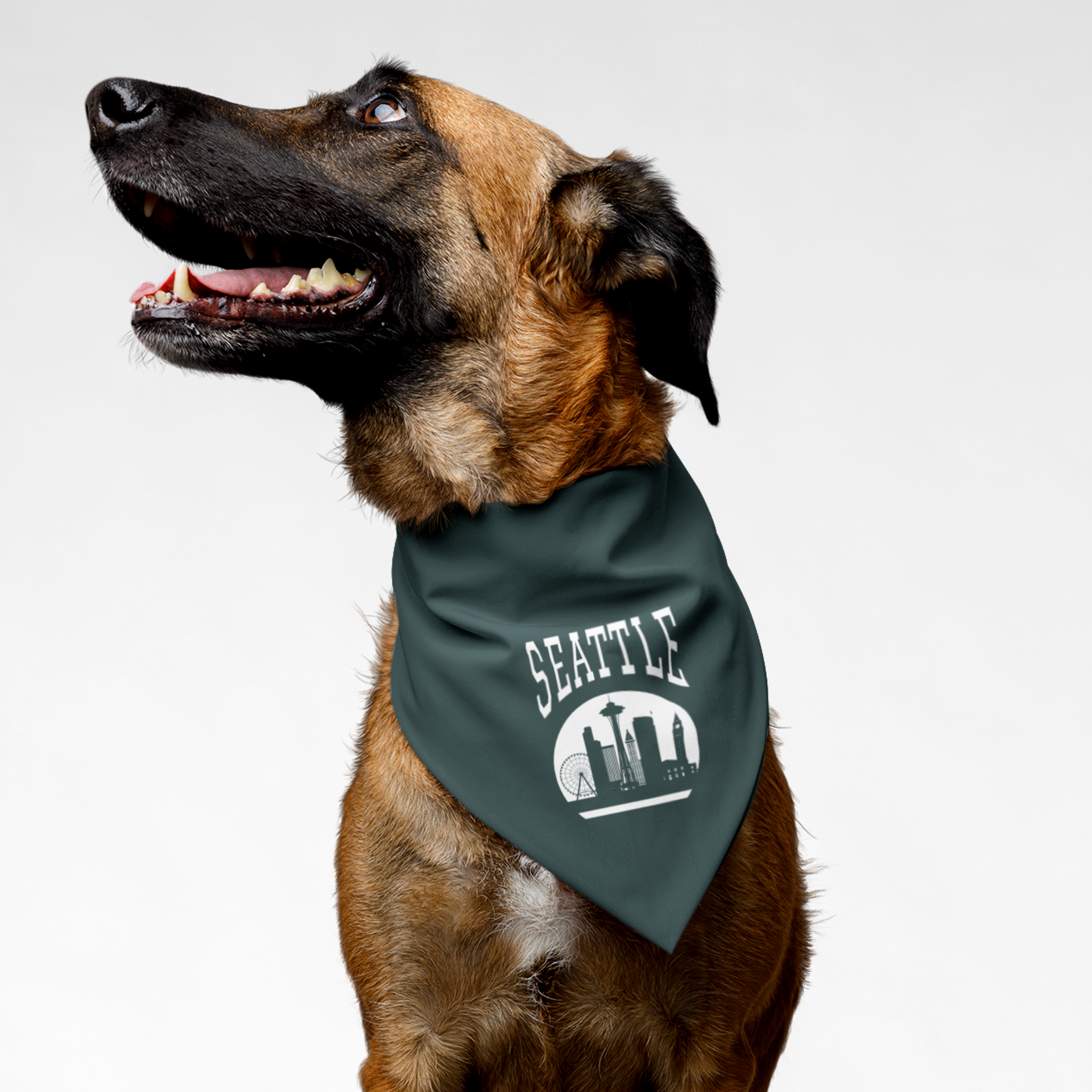 Dog wearing green bandana saying "Seattle" along with a graphic of the city's landmarks.