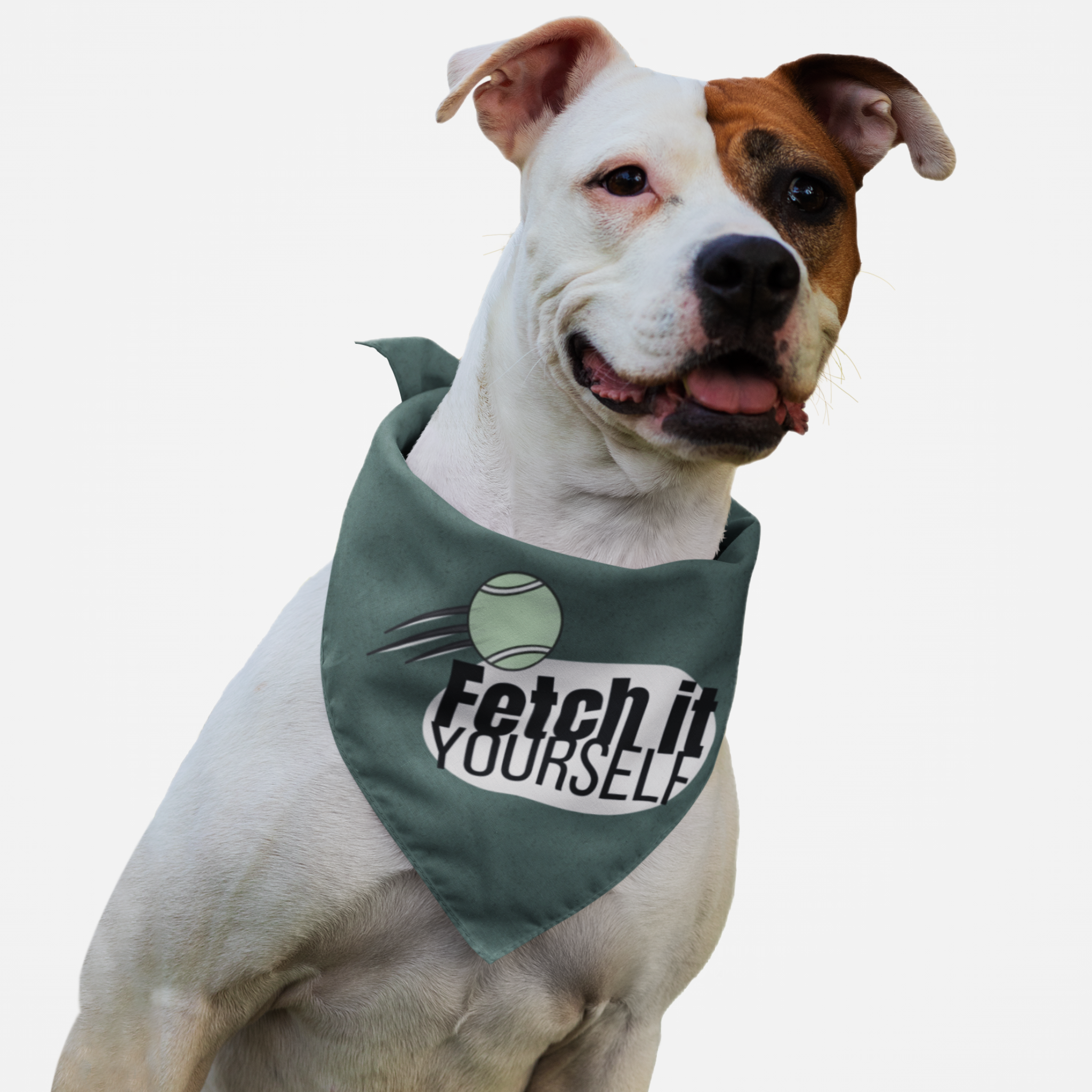 Dog wearing green bandana with funny "Fetch It Yourself" quote.