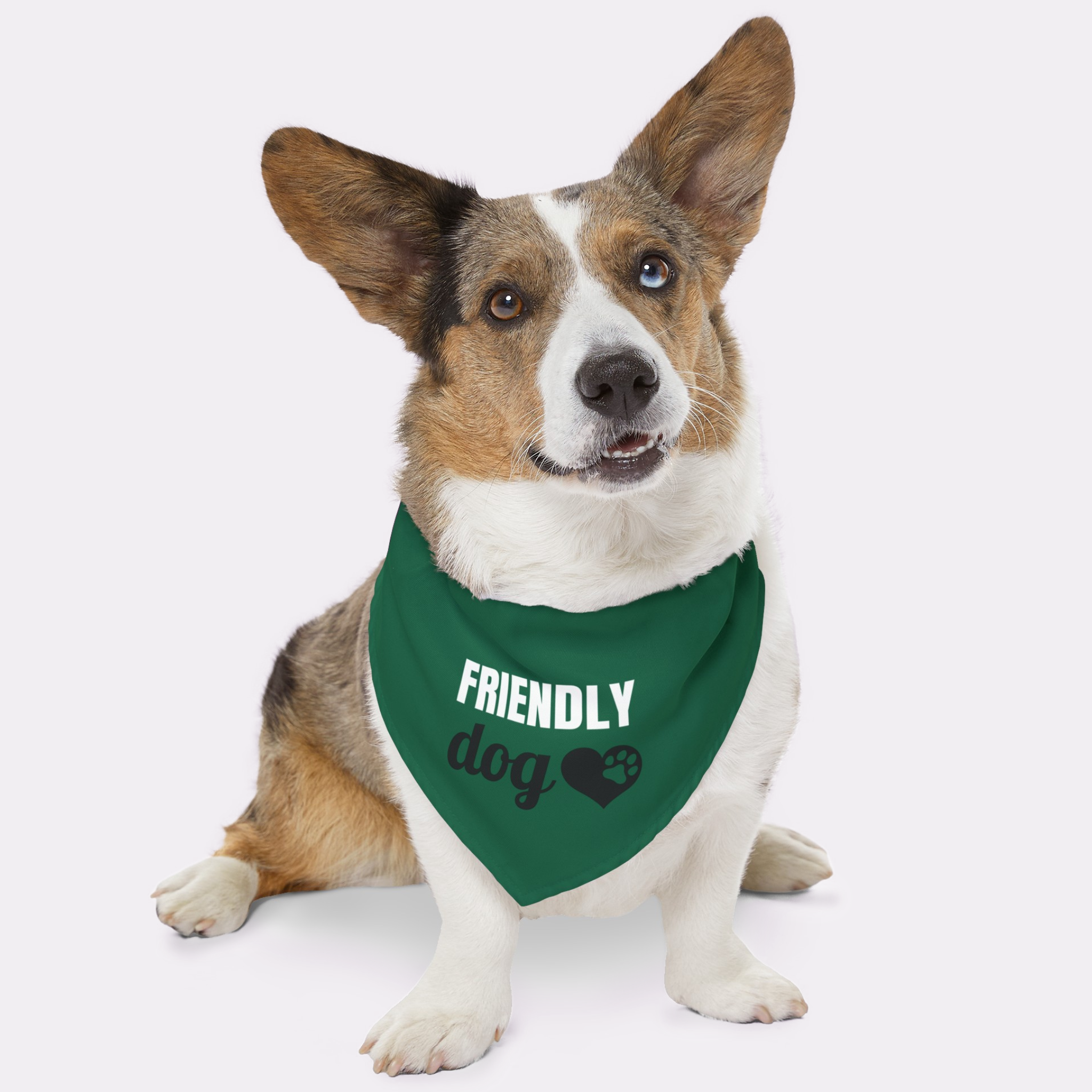 Dog wearing green "Friendly Dog" bandana.