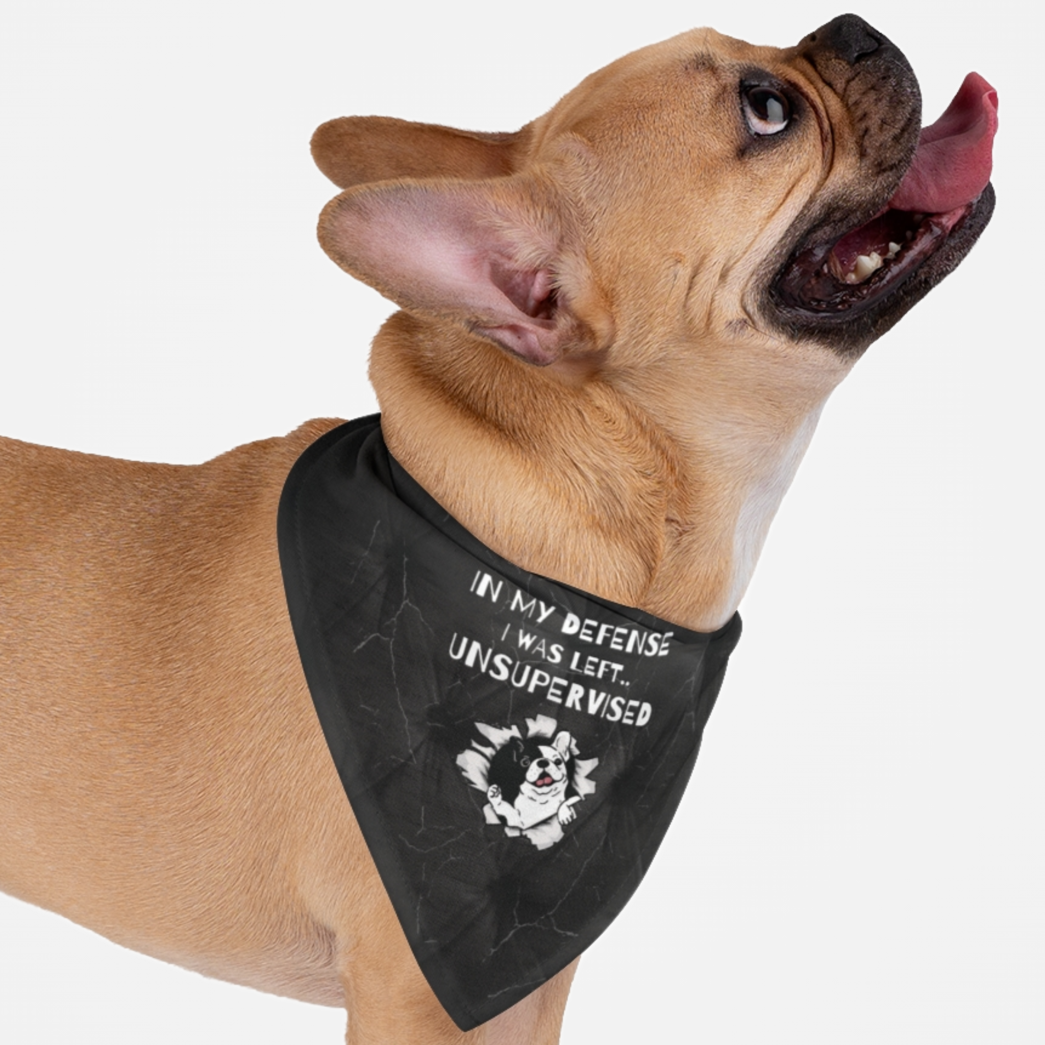 Dog wearing handkerchief featuring funny naughty dog graphic.
