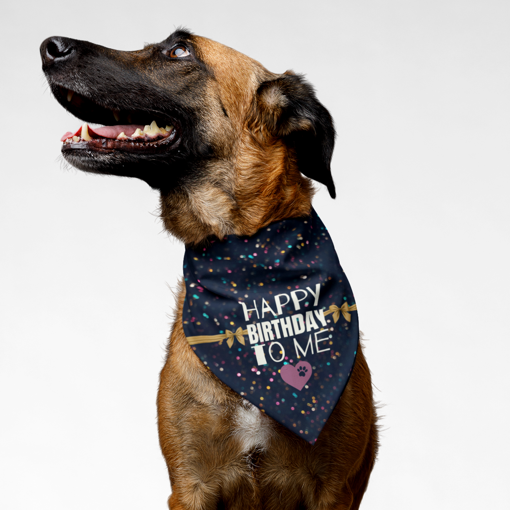 Dog wearing Happy Birthday To Me bandana with glitter print.