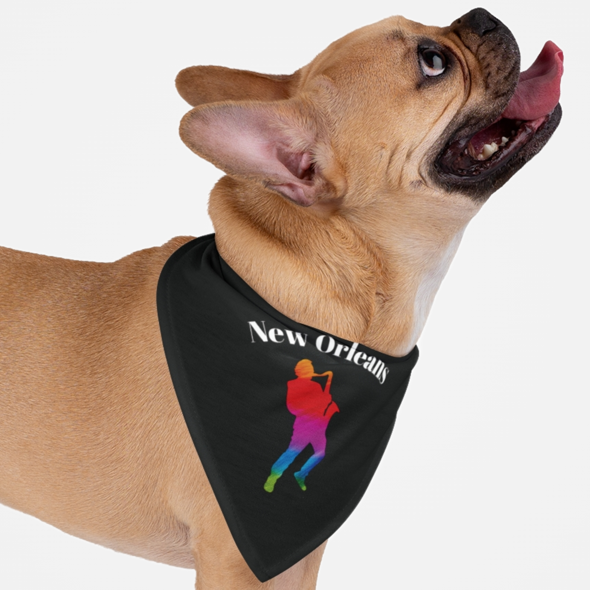 Dog wearing New Orleans bandana inspired by Jazz Fest and Mardi Gras.