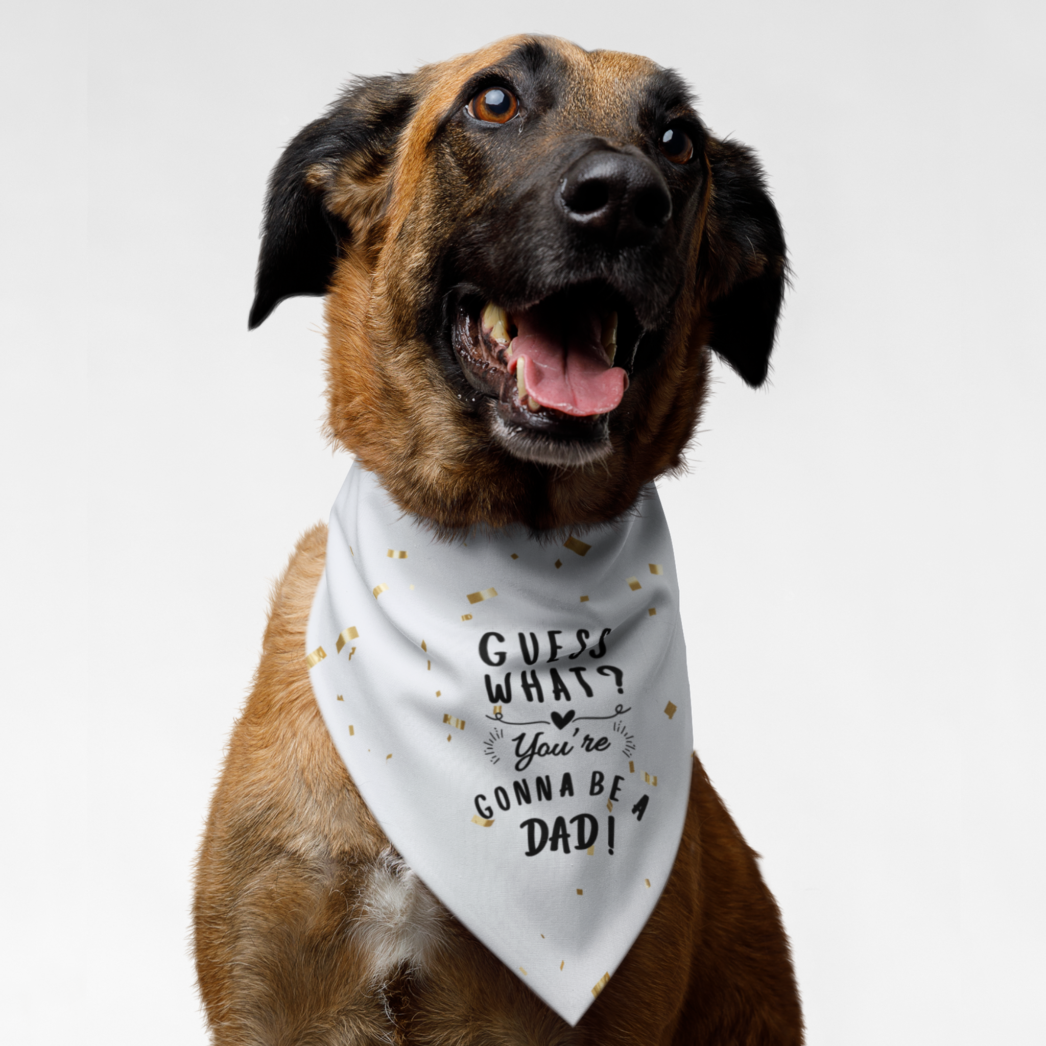 Dog wearing pregnancy announcement bandana saying "Guess What? You're Gonna Be a Dad."