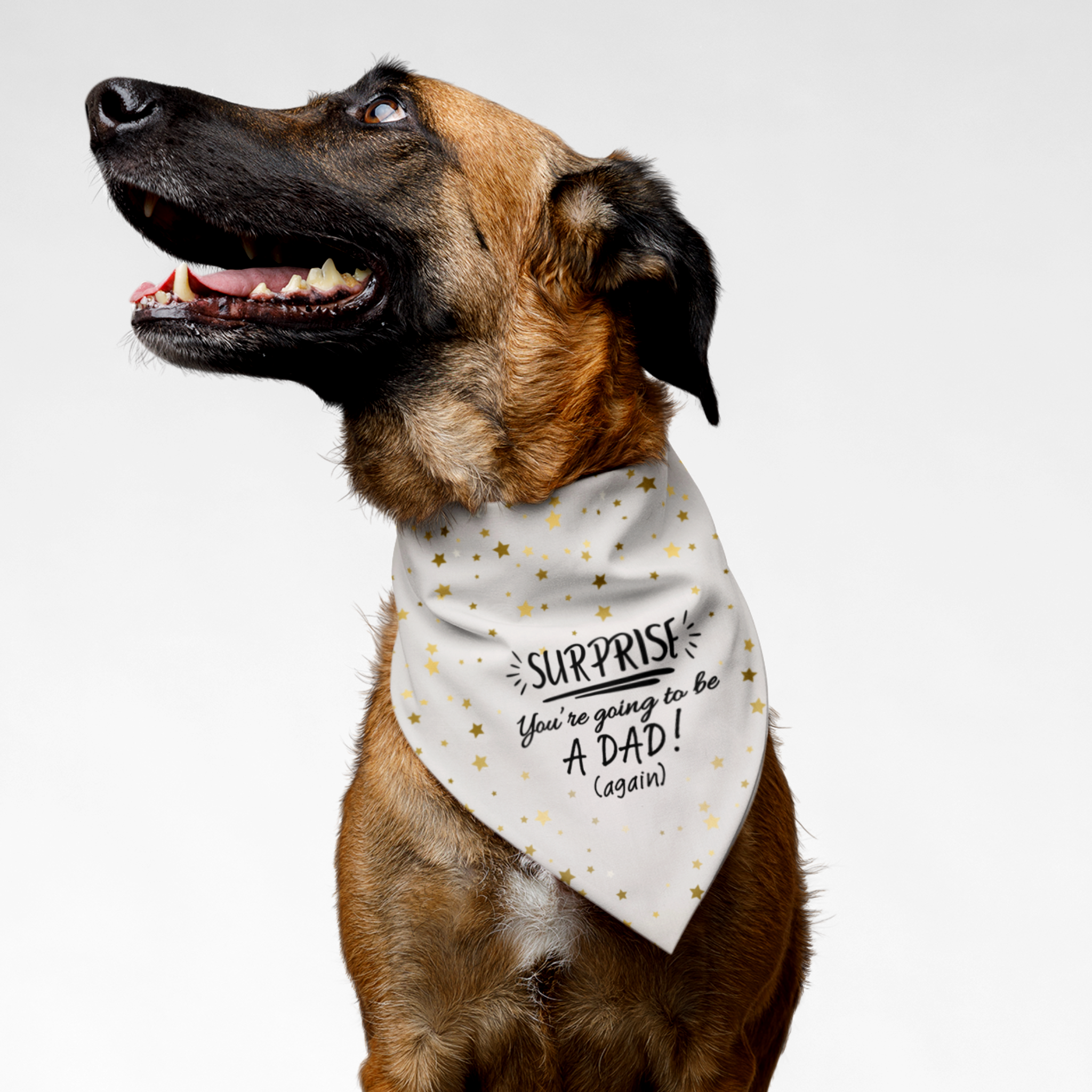 Dog wearing pregnancy announcement bandana saying "Surprise. You're Going To Be a Dad, Again."