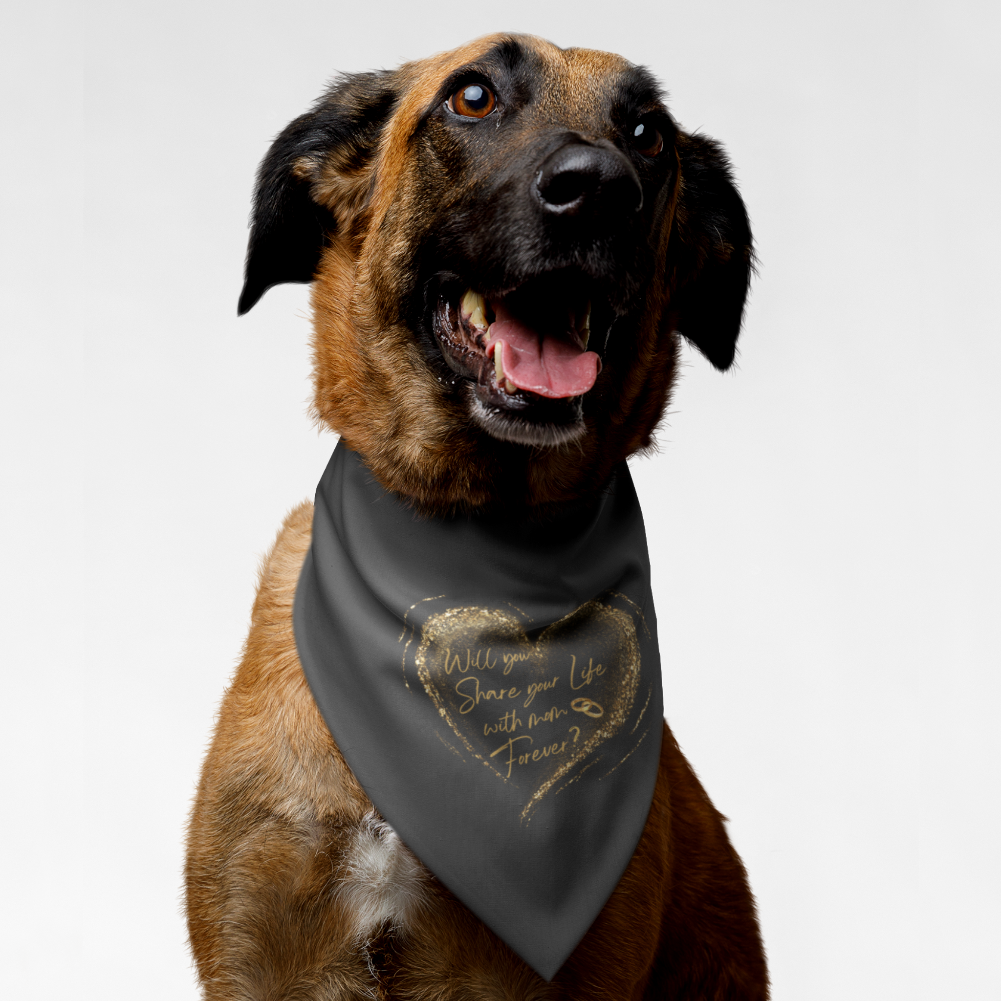 Dog wearing proposal bandana with gold glitter heart saying "Will You Share Your Life With Mom Forever?"