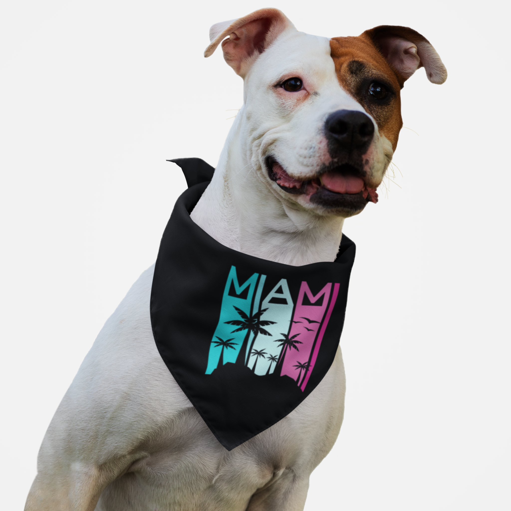 Dog wearing retro colors Miami bandana.
