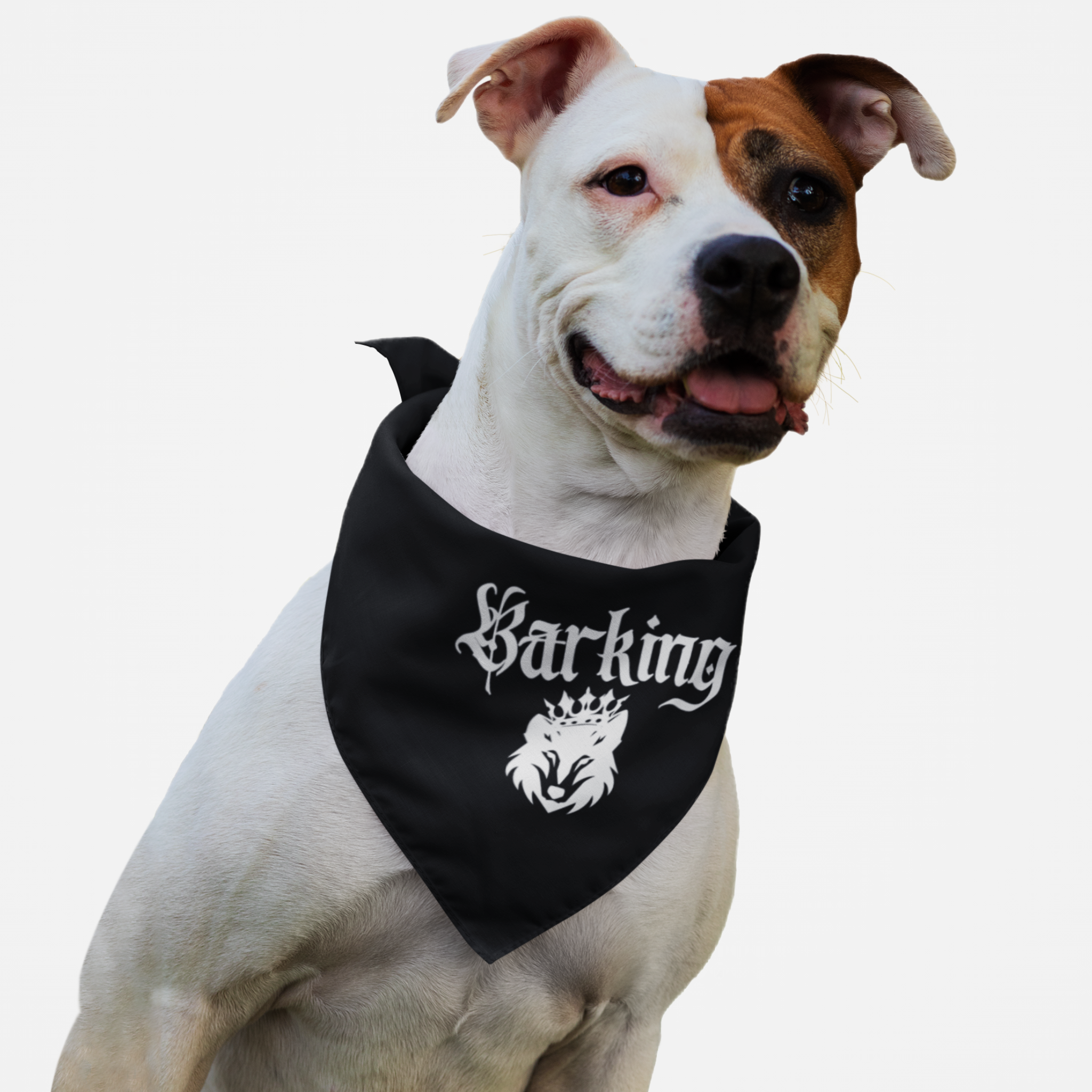 Dog wearing royal bandana featuring crown graphic and "Bar-King" pun.