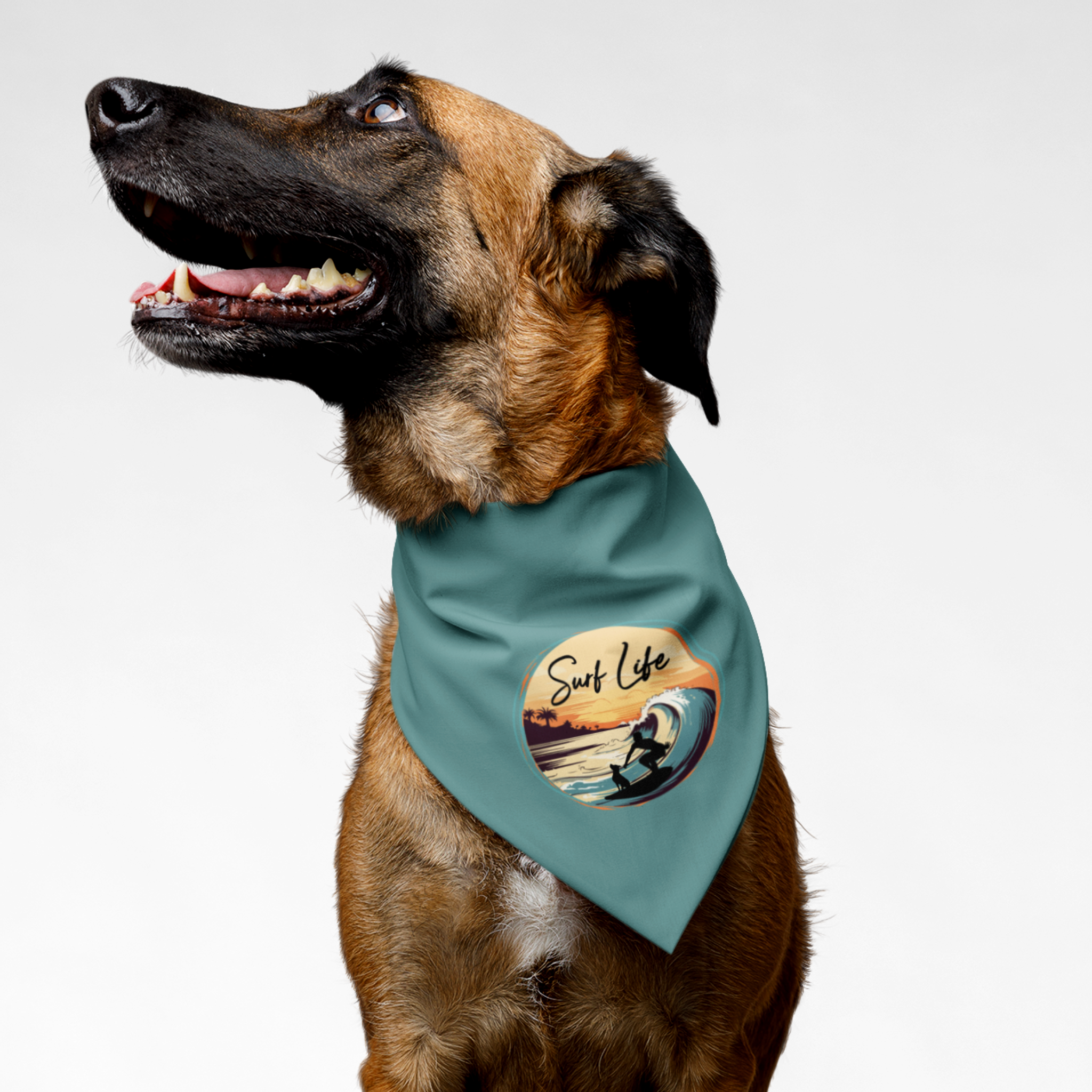Dog wearing sea adventure bandana featuring ocean surfing graphic and "Surf Life" quote.