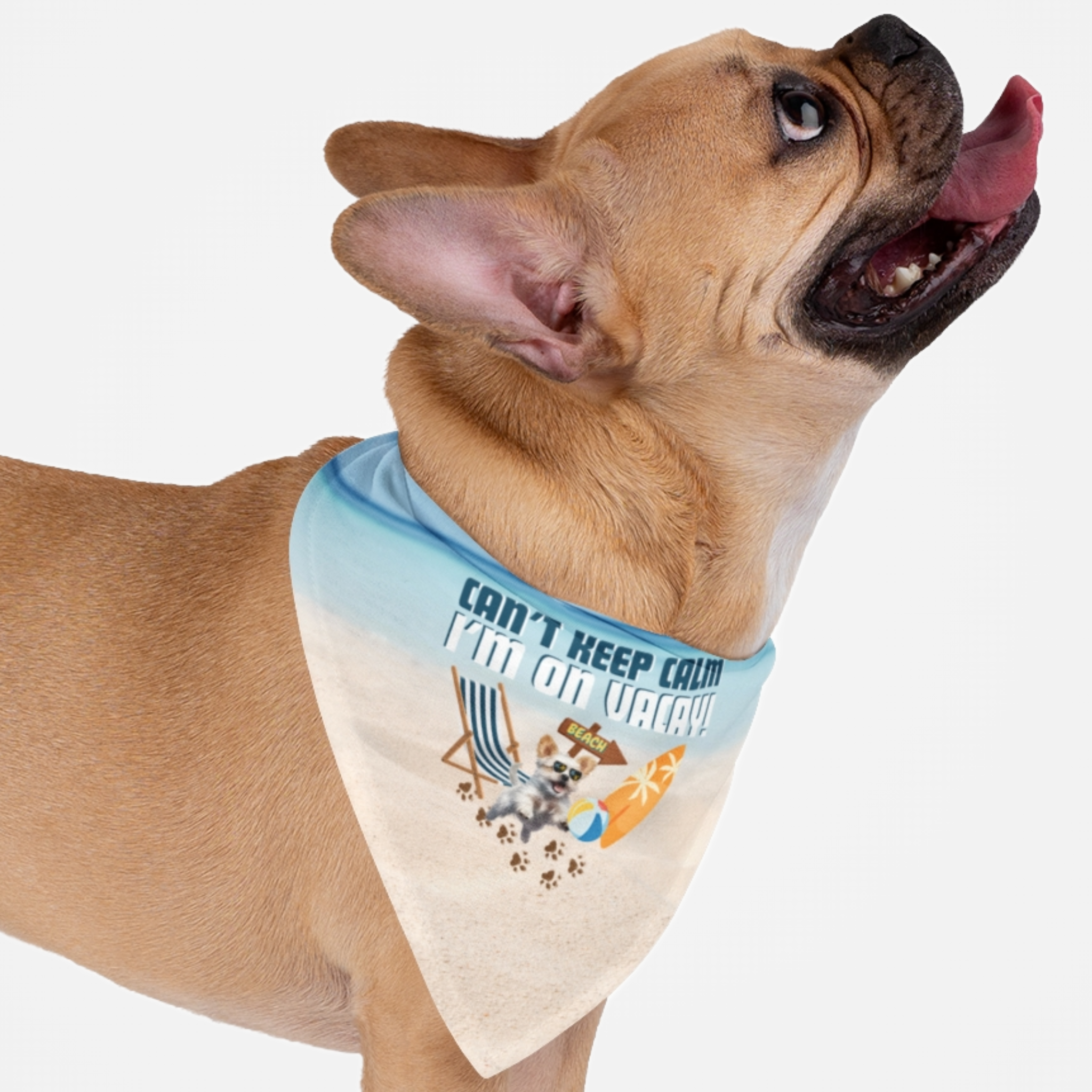 Dog wearing travel vacation bandana featuring beach graphics saying Can't Keep Calm I'm On Vacay.