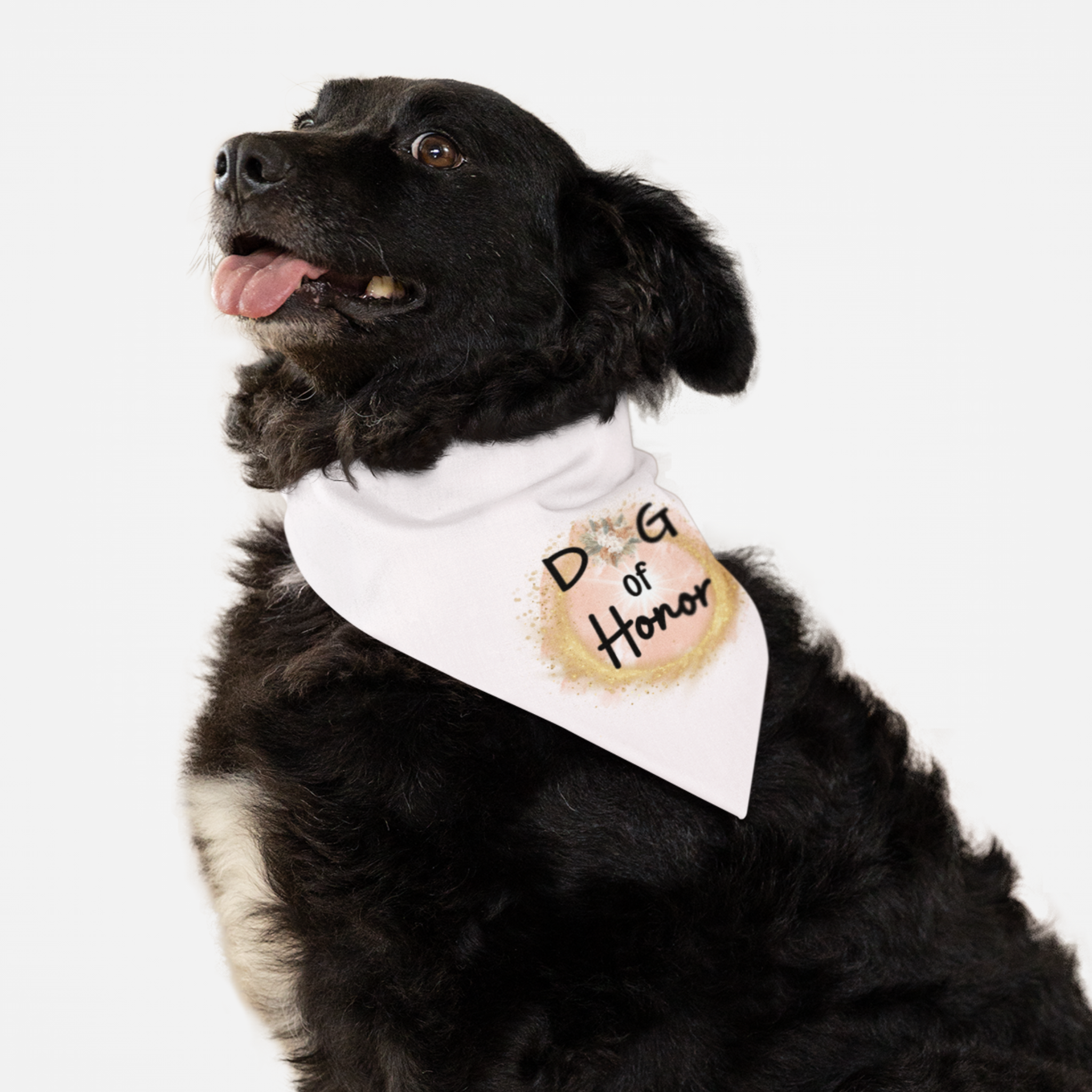 Dog wearing wedding bandana featuring a glowing gold glitter ring graphic and "Dog of Honor" quote.