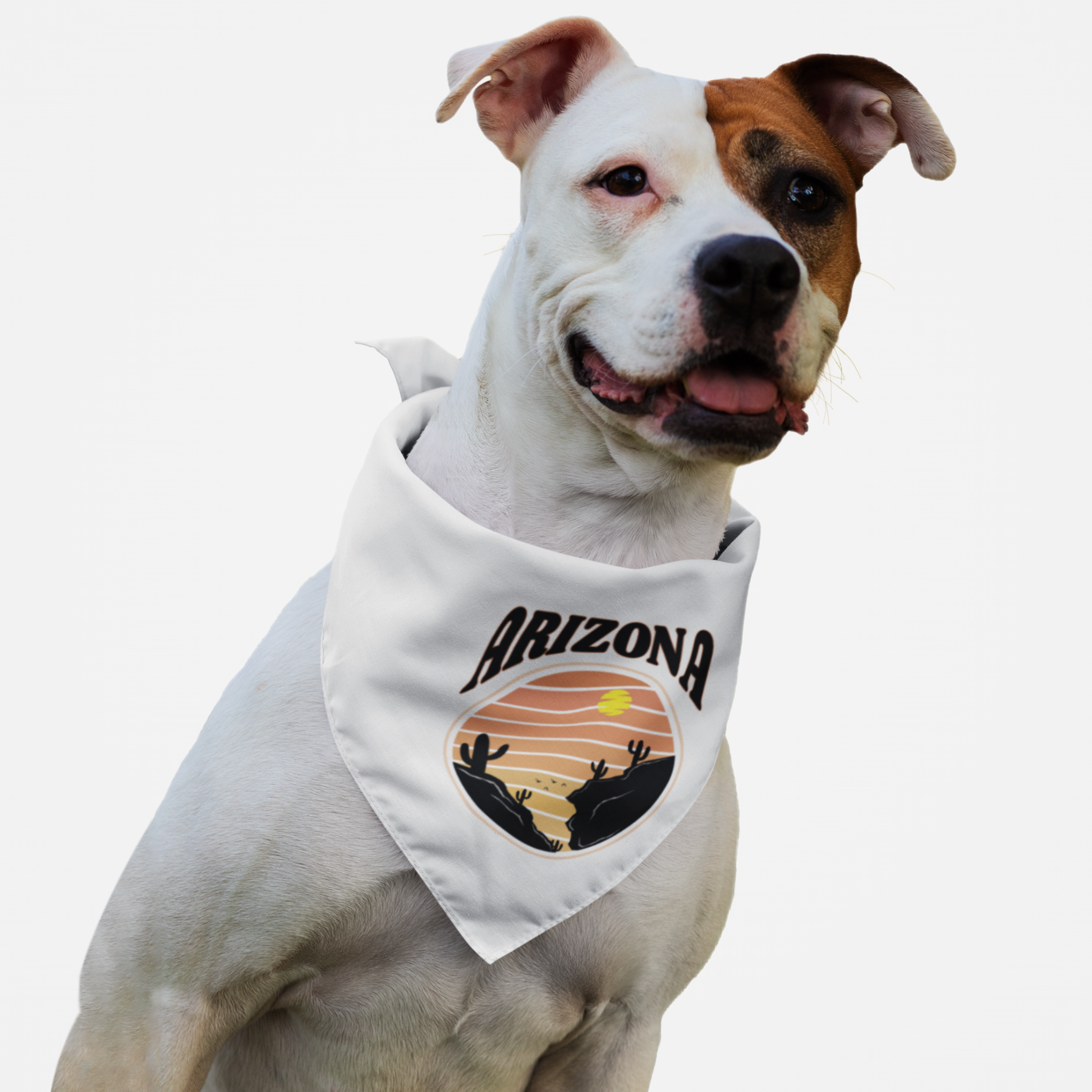 Dog wearing white bandana saying "Arizona" along with a retro desert graphic.