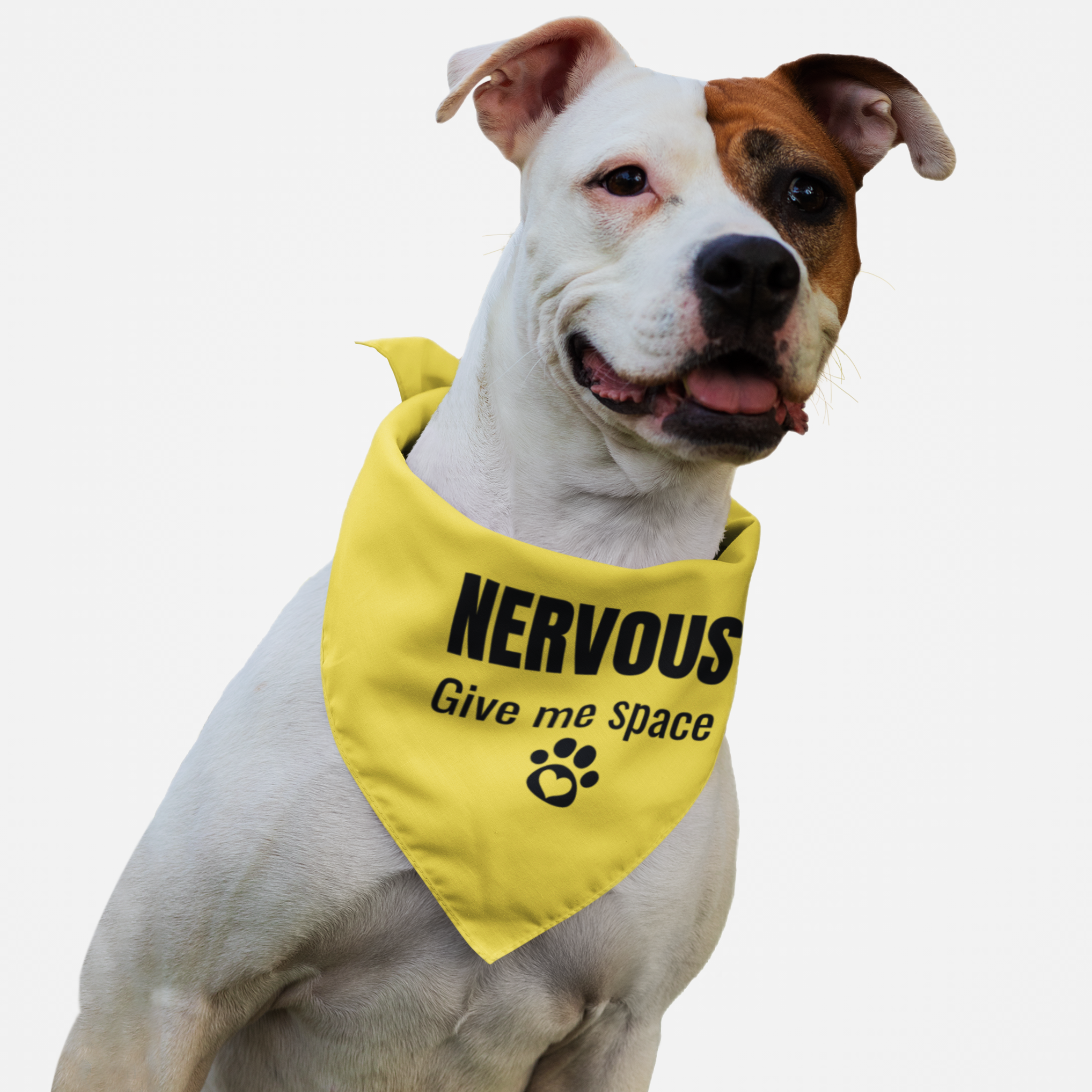 Nervous dog wearing yellow caution warning bandana saying "Nervous. Give Me Space."