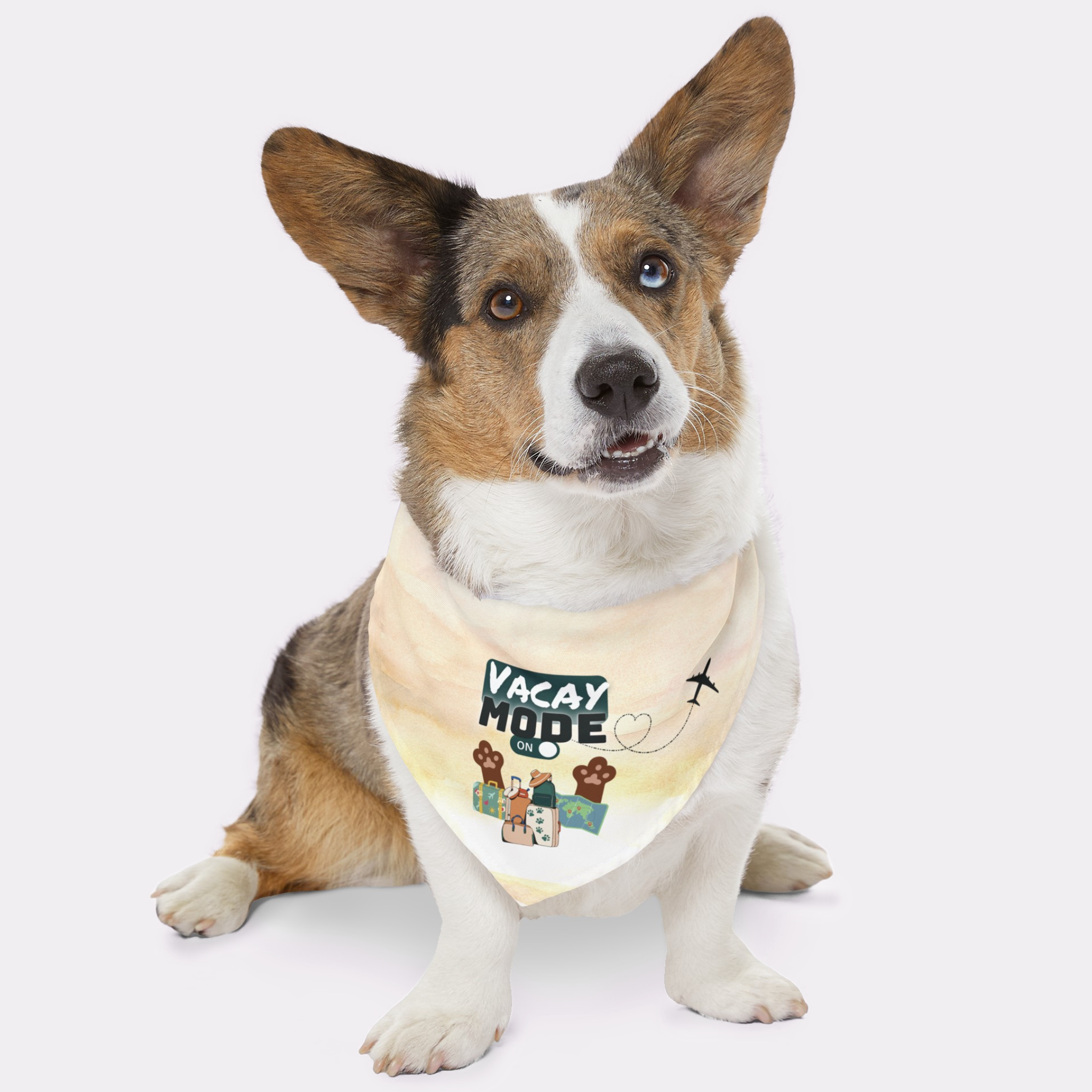 Dog with bandana featuring travel and vacation graphics saying Vacay Mode On.
