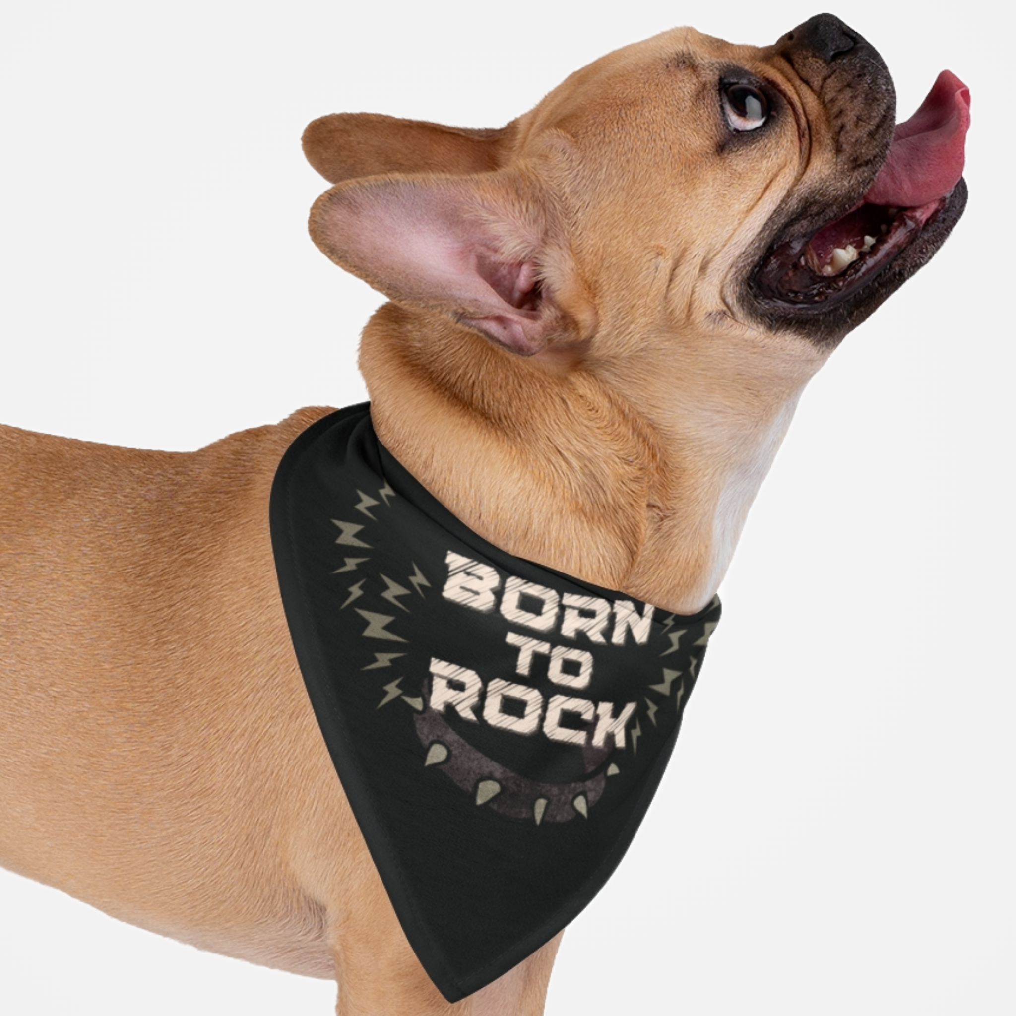 Dog with bandana saying Born To Rock.