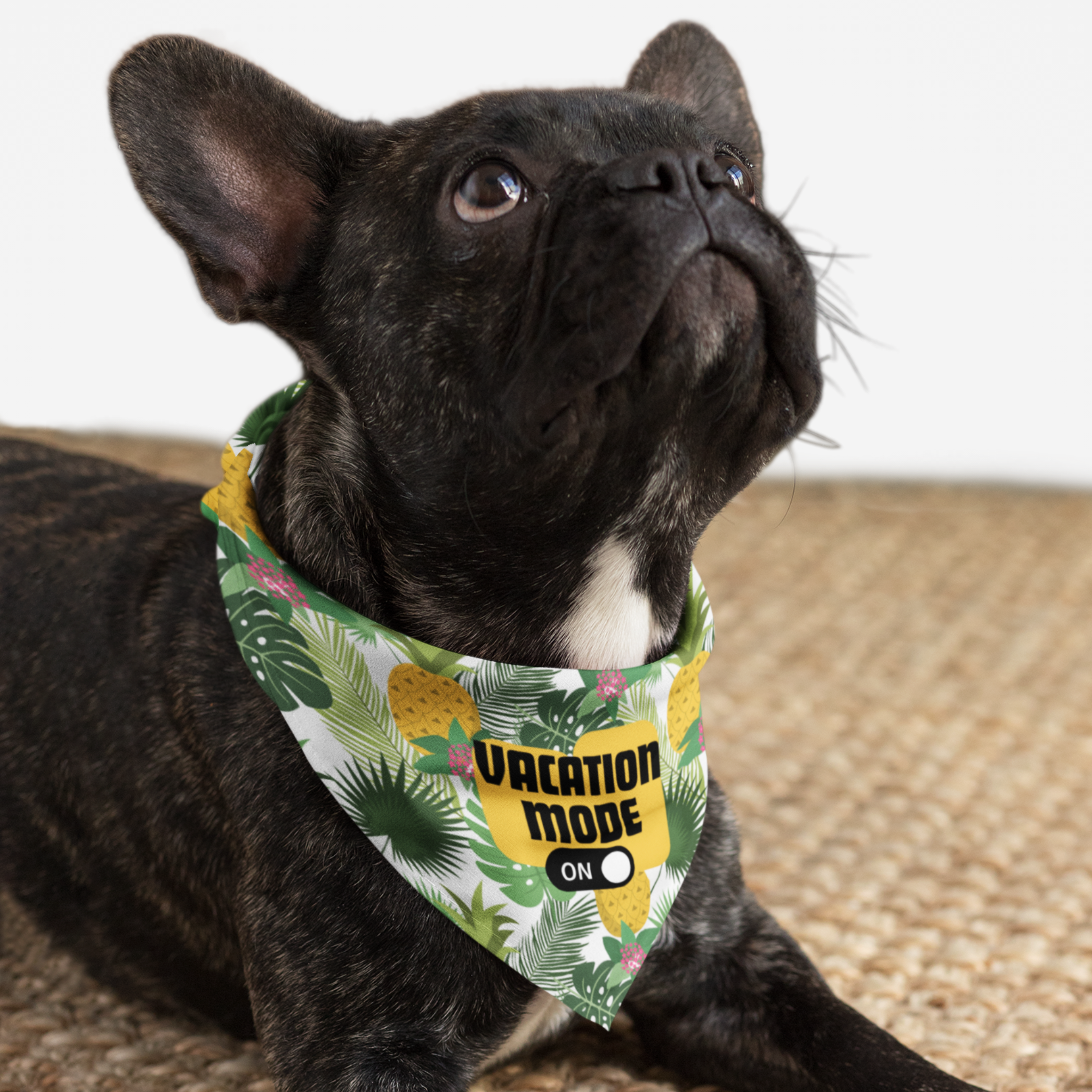 Dog with bandana with exotic background print saying "Vacation Mode On" perfect for travel.