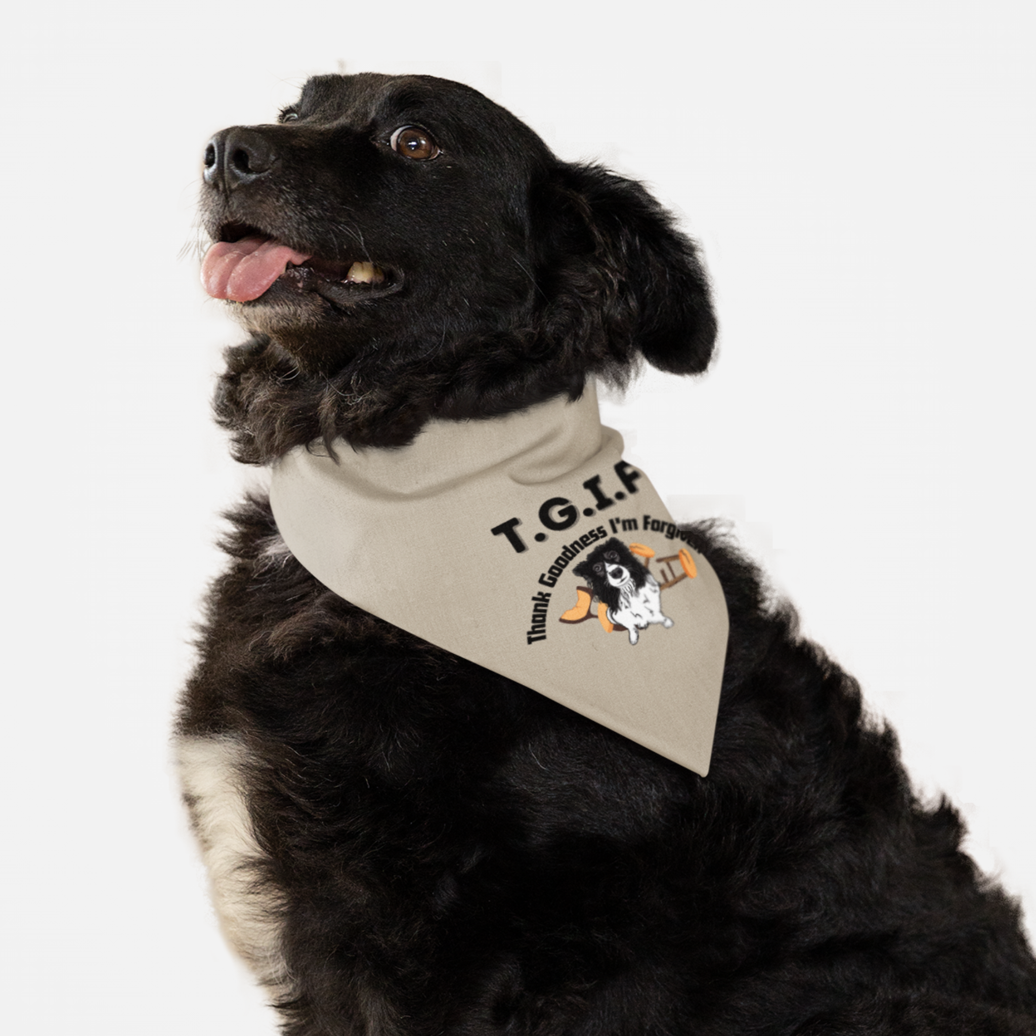 Dog with funny bandana saying TGIF Thank Goodness I'm Forgiven.
