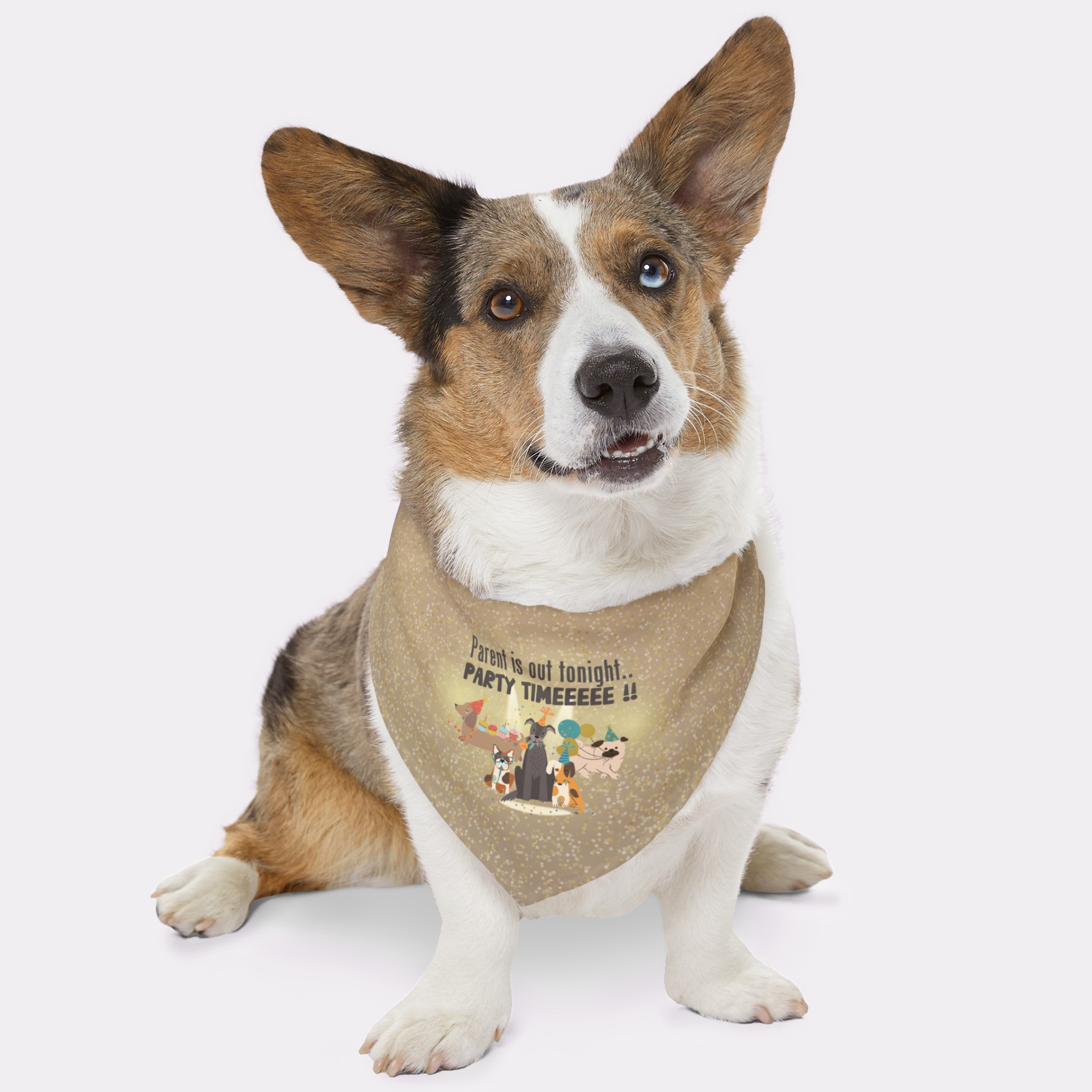 Dog with funny handkerchief featuring party dogs graphic saying "Parent Is Out Tonight. Party Time."
