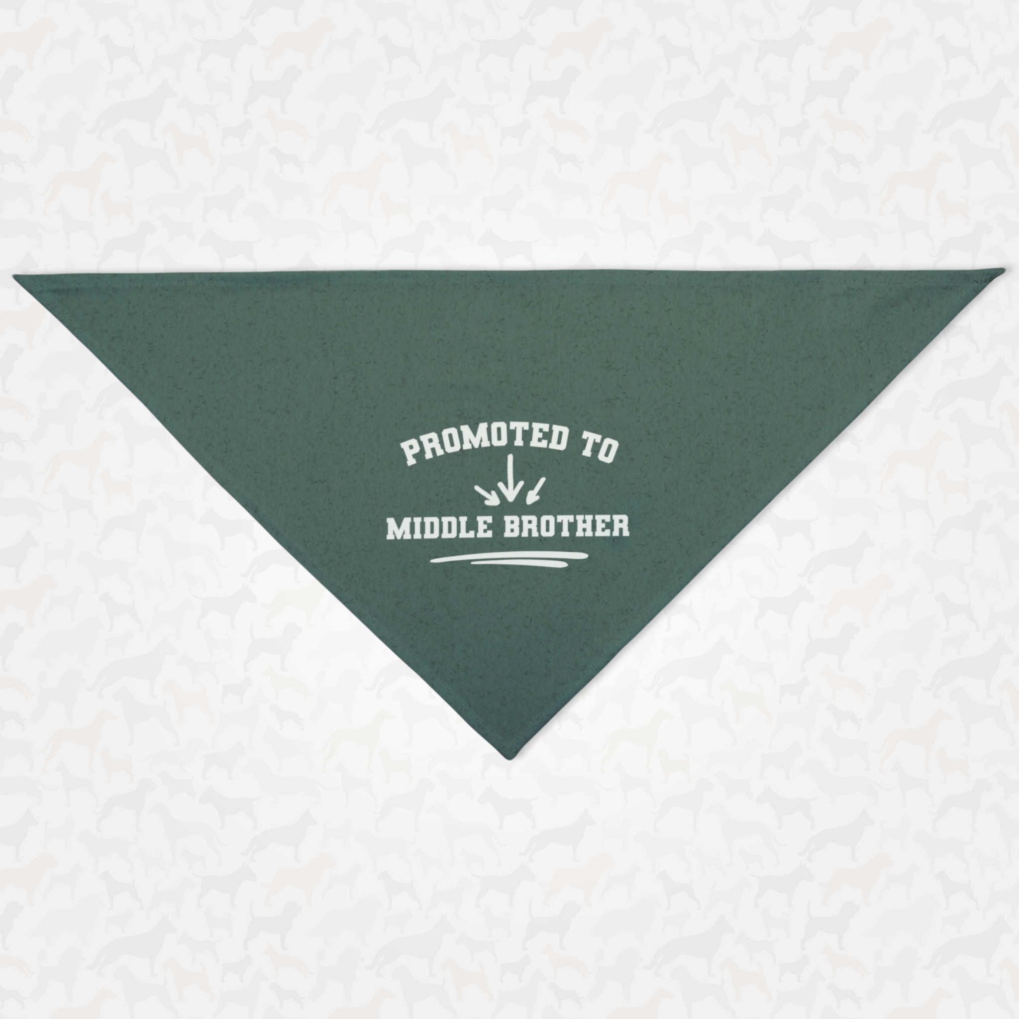 Green dog bandana announcing pregnancy with "Promoted to Middle Brother" quote in a tactics coaching board style.