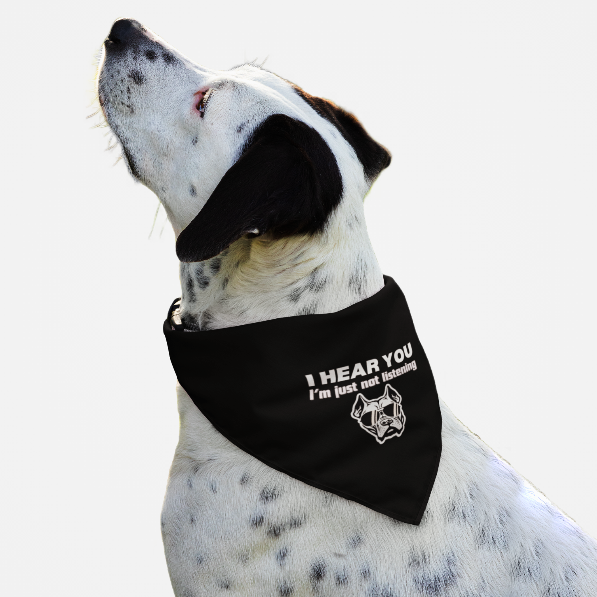 Large dog wearing a funny and tough dog bandana saying I Hear You, I am Just Not Listening.