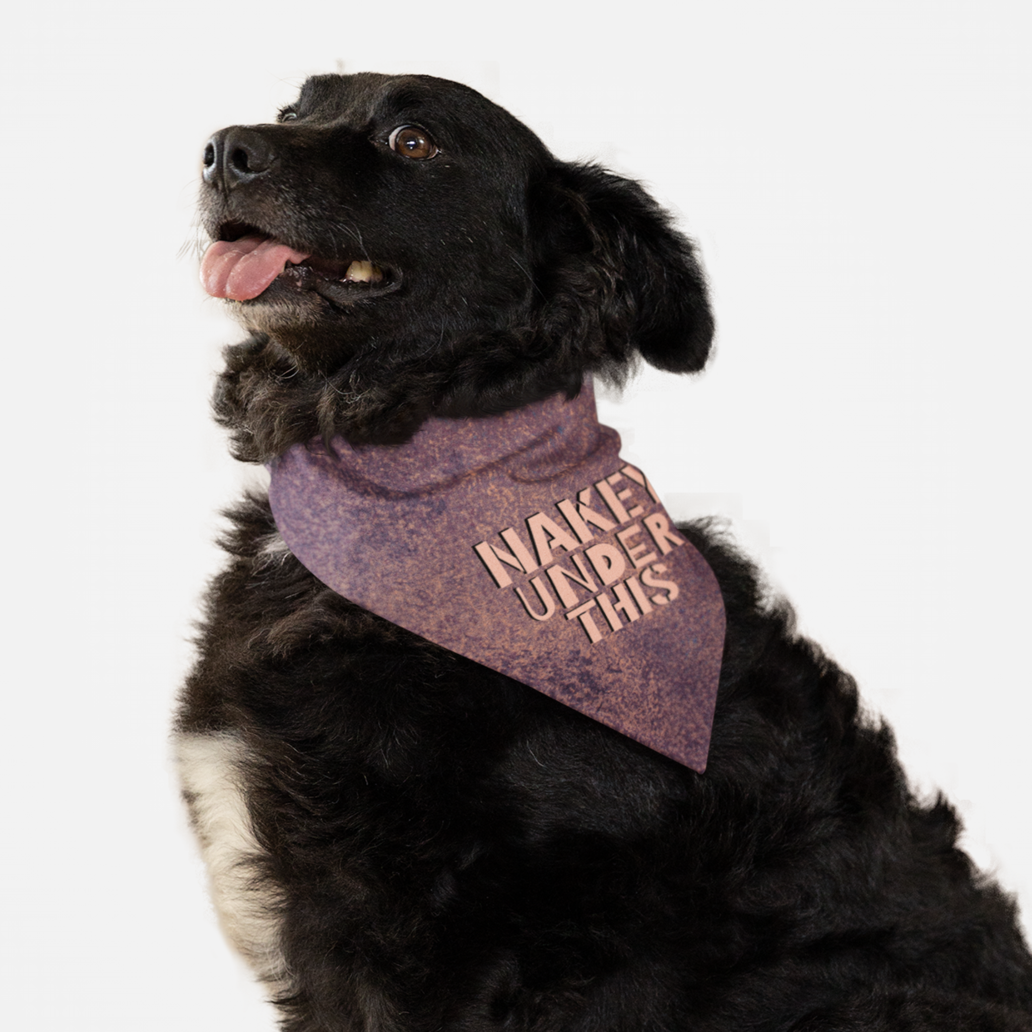 Naughty dog wearing funny bandana saying Nakey Under This.