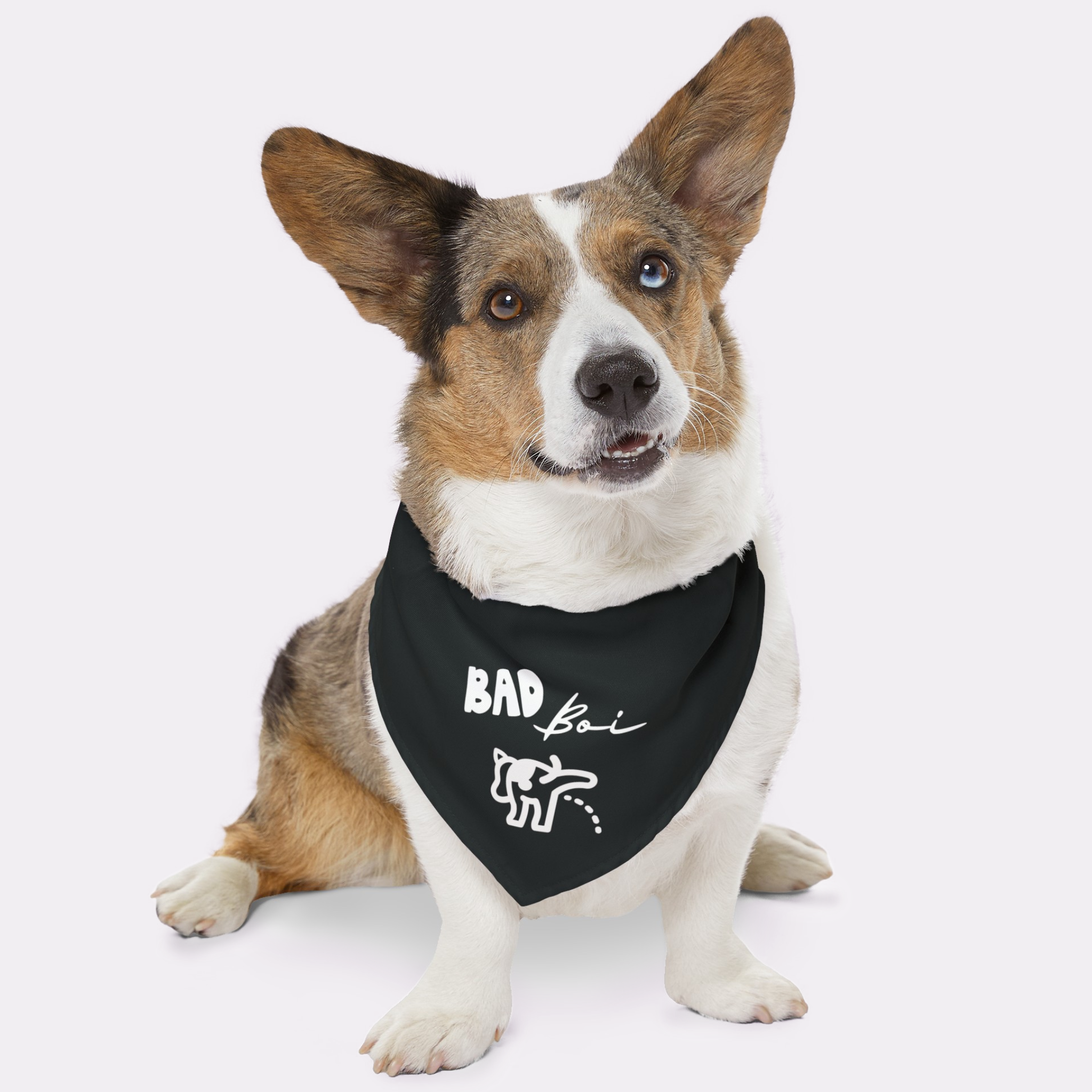 Naughty dog wearing graphic bandana saying Bad Boi.
