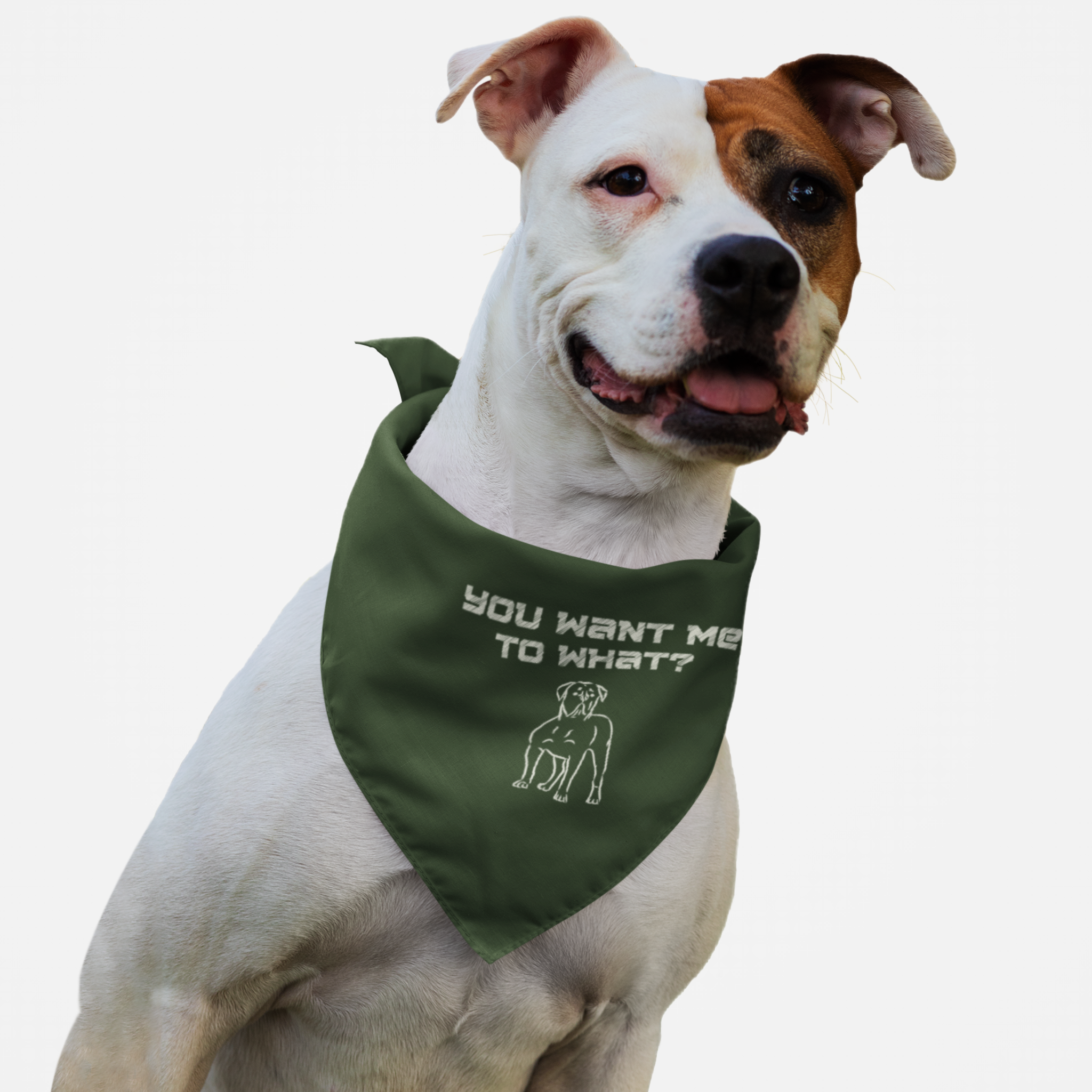 Pitbull wearing green dog bandana saying You Want Me to What.