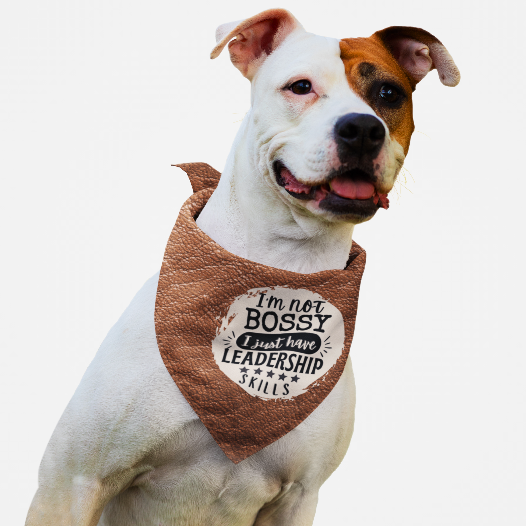 Pitbull wearing funny dog bandana saying "I'm not bossy. I just have leadership skills."