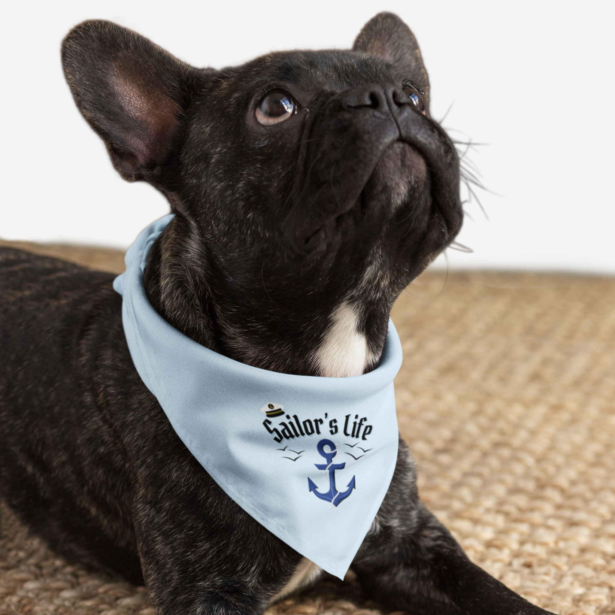Sea lover dog wearing bandana saying Sailor's Life.