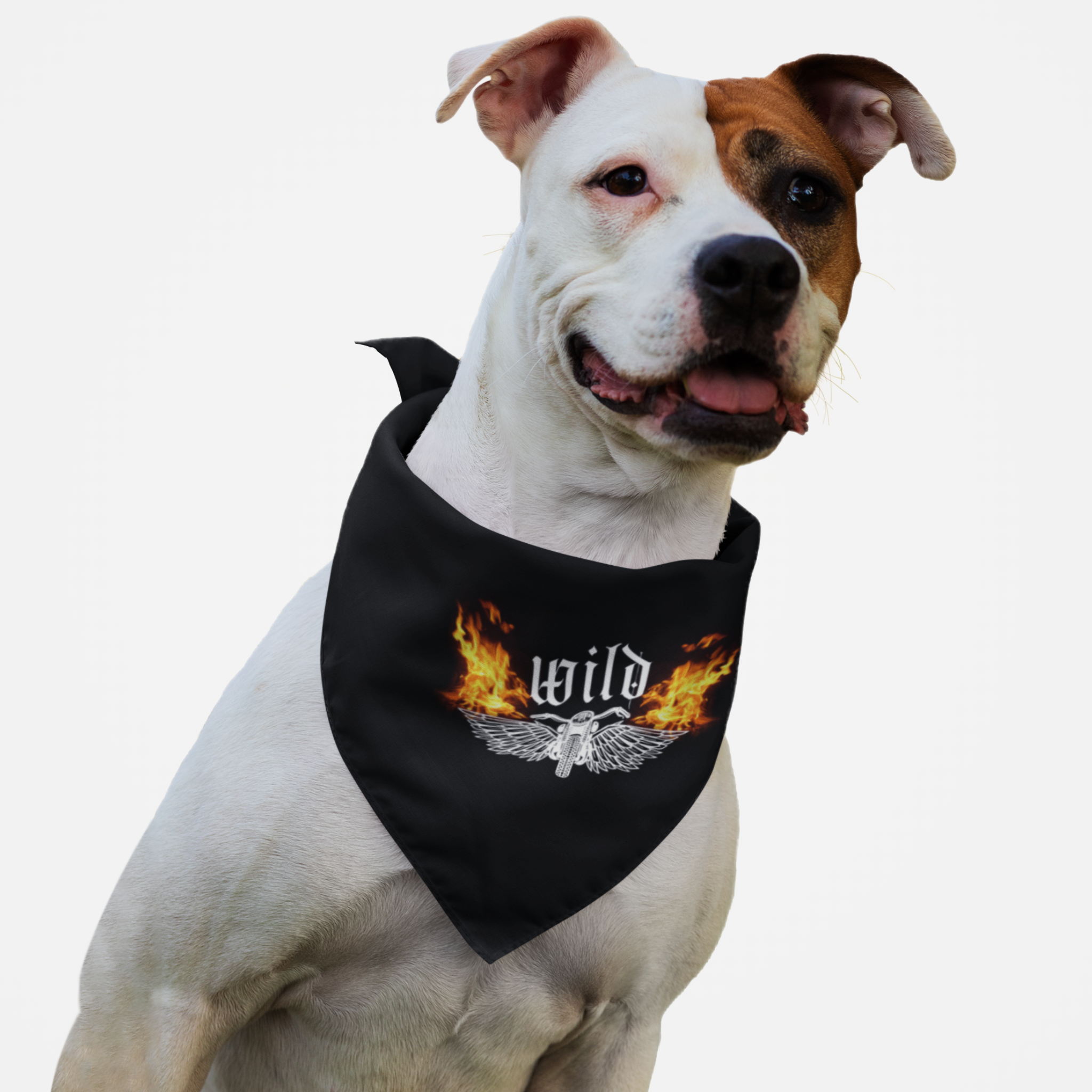 Tough dog wearing bandana featuring bike with flames graphic and "Wild" slogan.