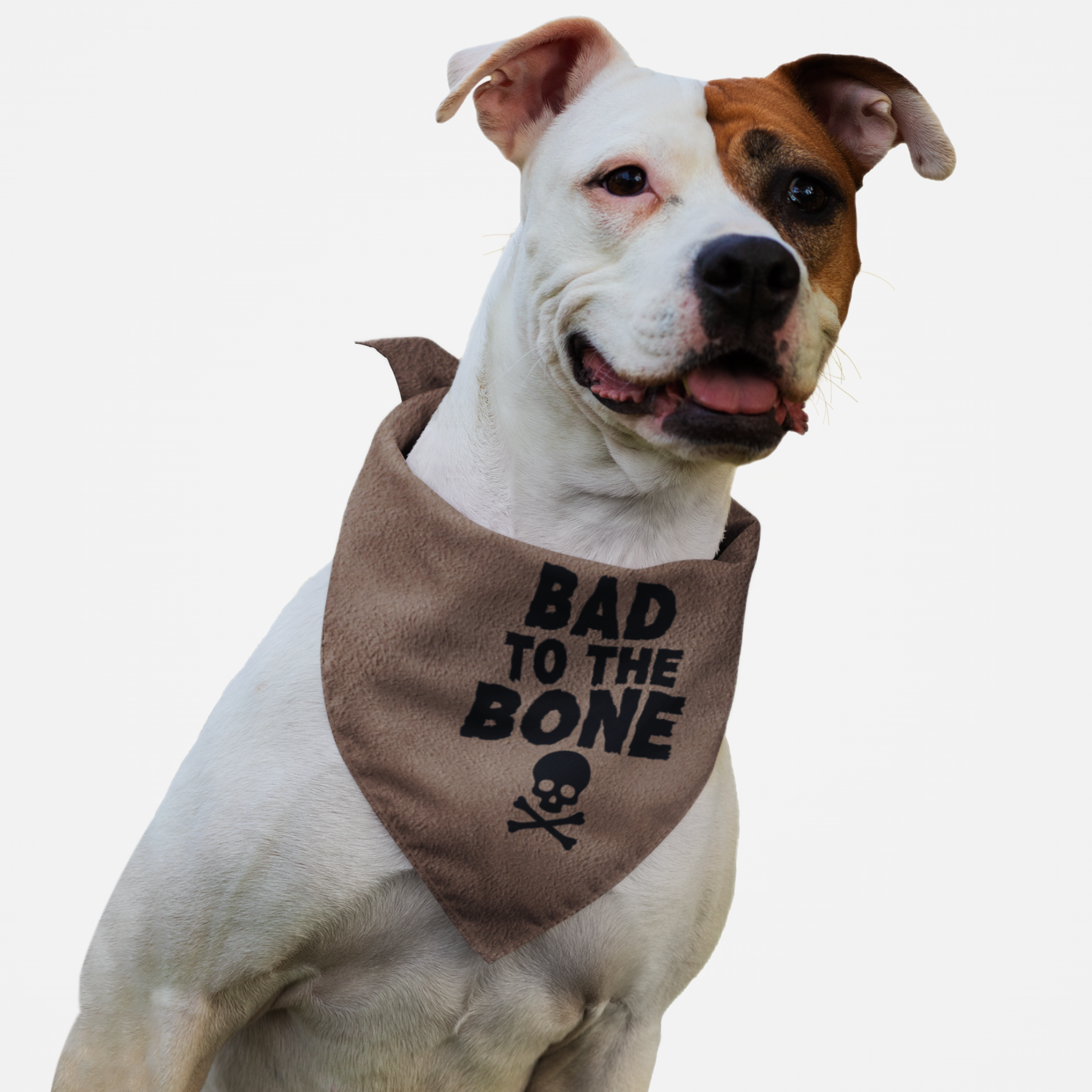 Tough dog wearing bandana featuring skull graphic and "Bad to the Bone" quote.